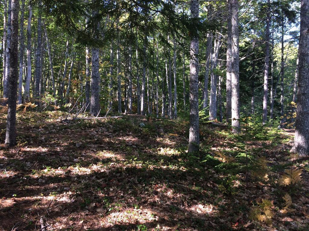500 Gross Neck Road Waldoboro, ME 04572 - Photo 15 of 18 Photo