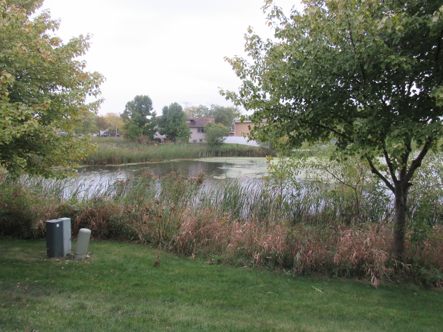 696 Western Lane Addison, IL 60101 - Photo 2 of 36 a view of a lake with outdoor space