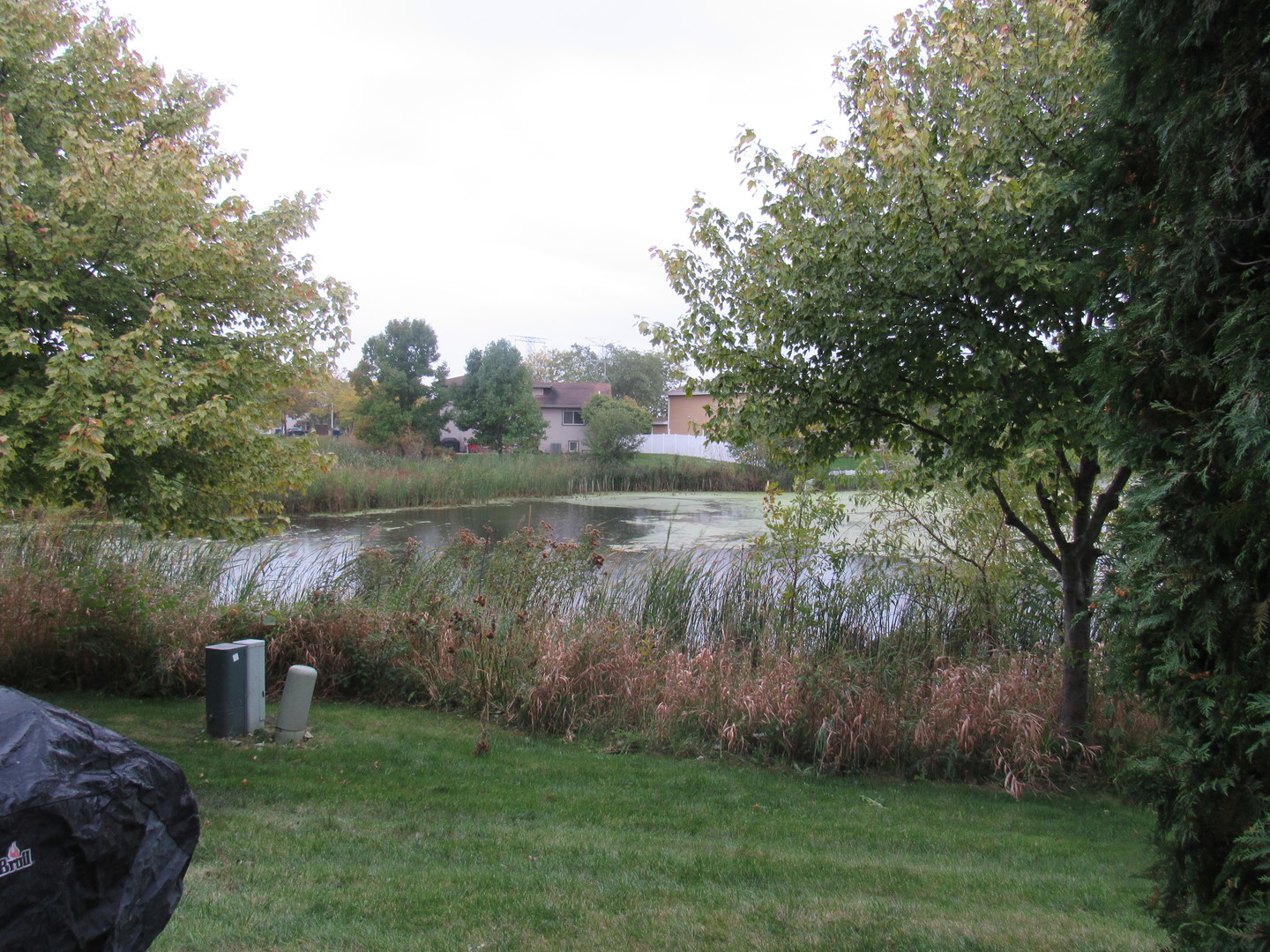 696 Western Lane Addison, IL 60101 - Photo 4 of 36 a view of a lake with a yard and large trees