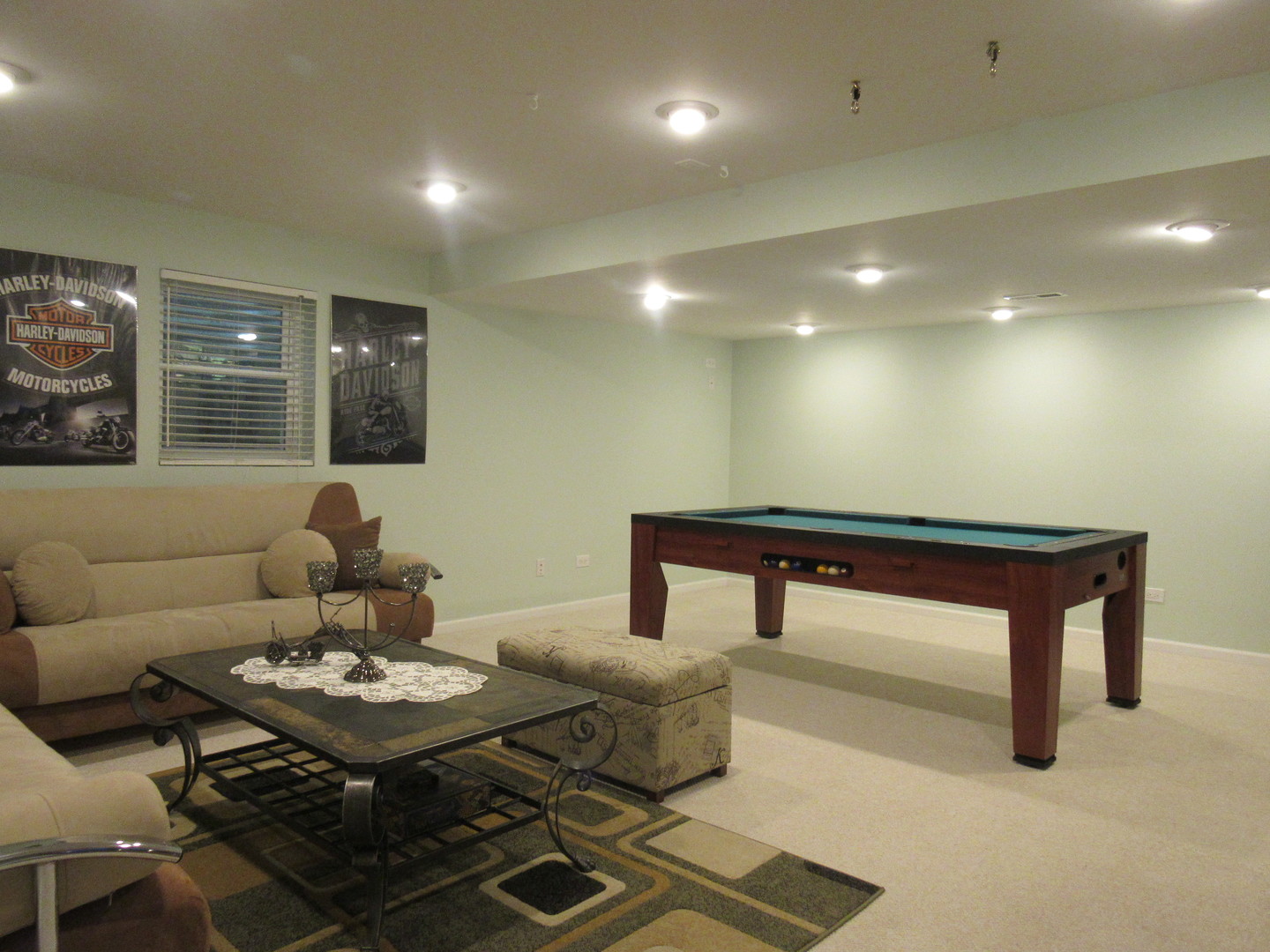696 Western Lane Addison, IL 60101 - Photo 31 of 36 a living room with furniture and a potted plant