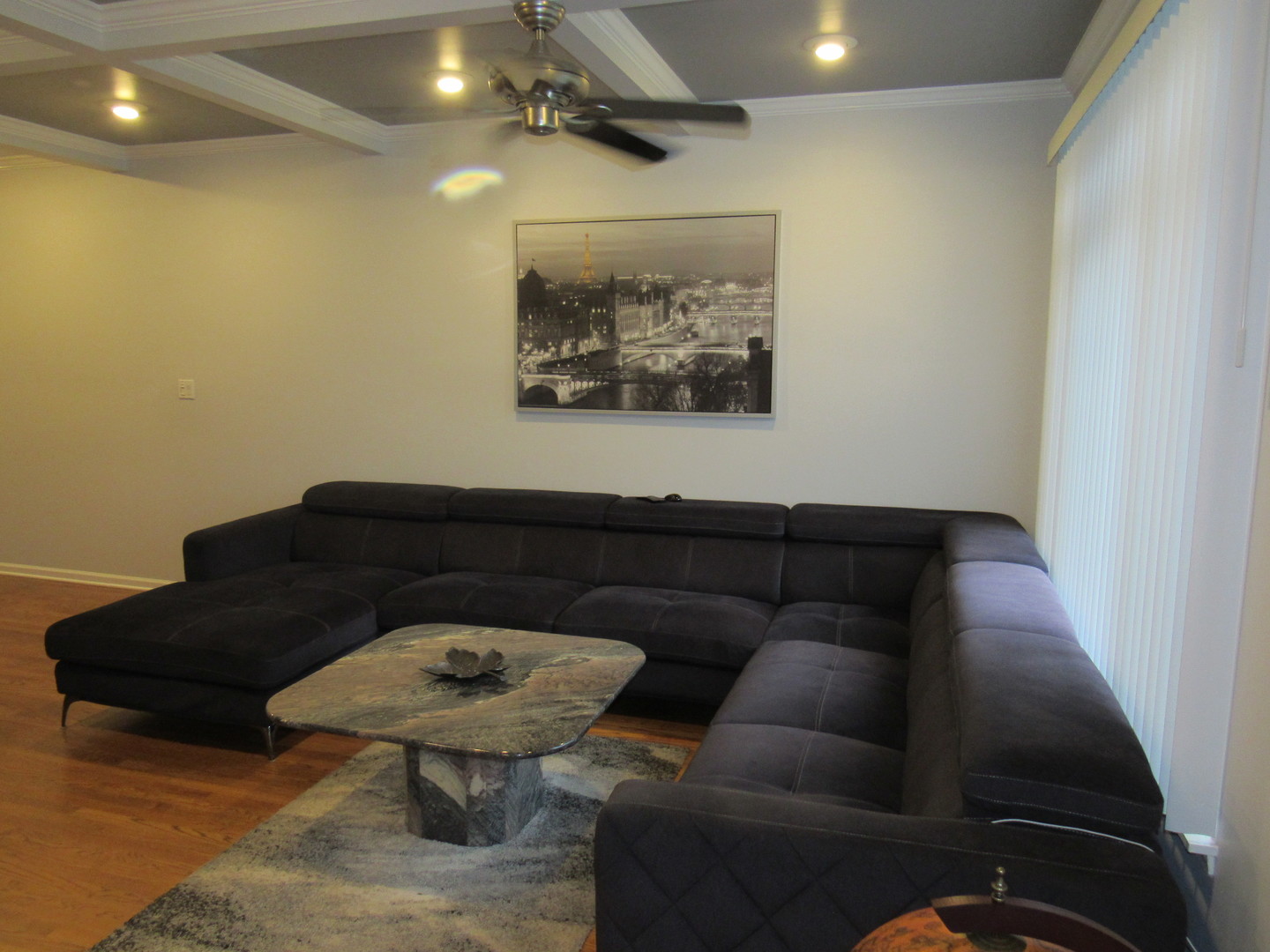 696 Western Lane Addison, IL 60101 - Photo 10 of 36 a living room with furniture and a rug