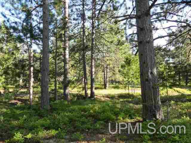 Tbd Little Rice Lk Road, Unit LOT 23 Lake Linden, MI 49945 - Photo 4 of 9