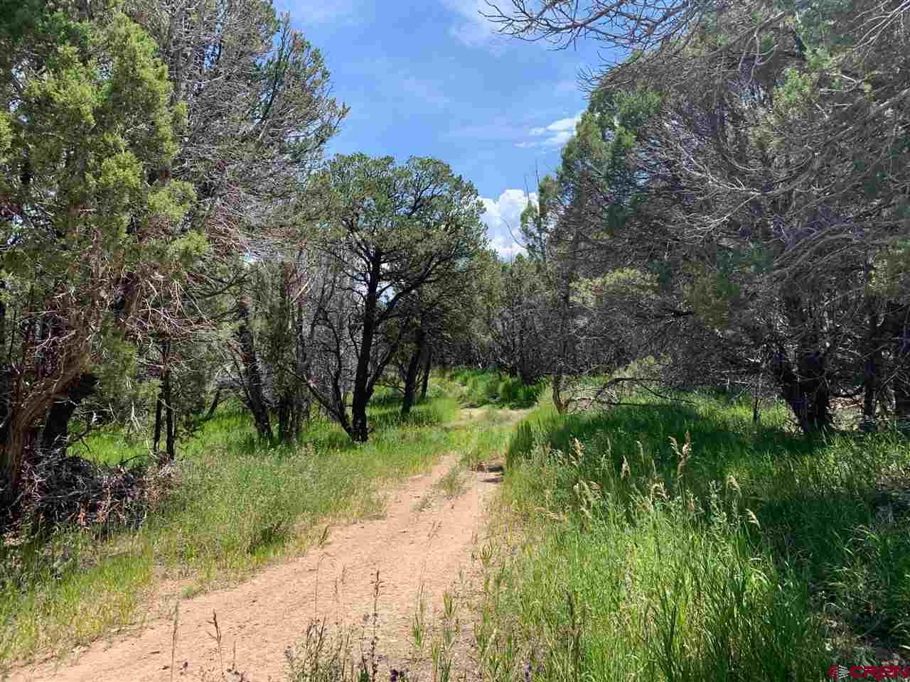 678 3375th Road Crawford, CO 81415 - Photo 9 of 42 Gallery Image 9