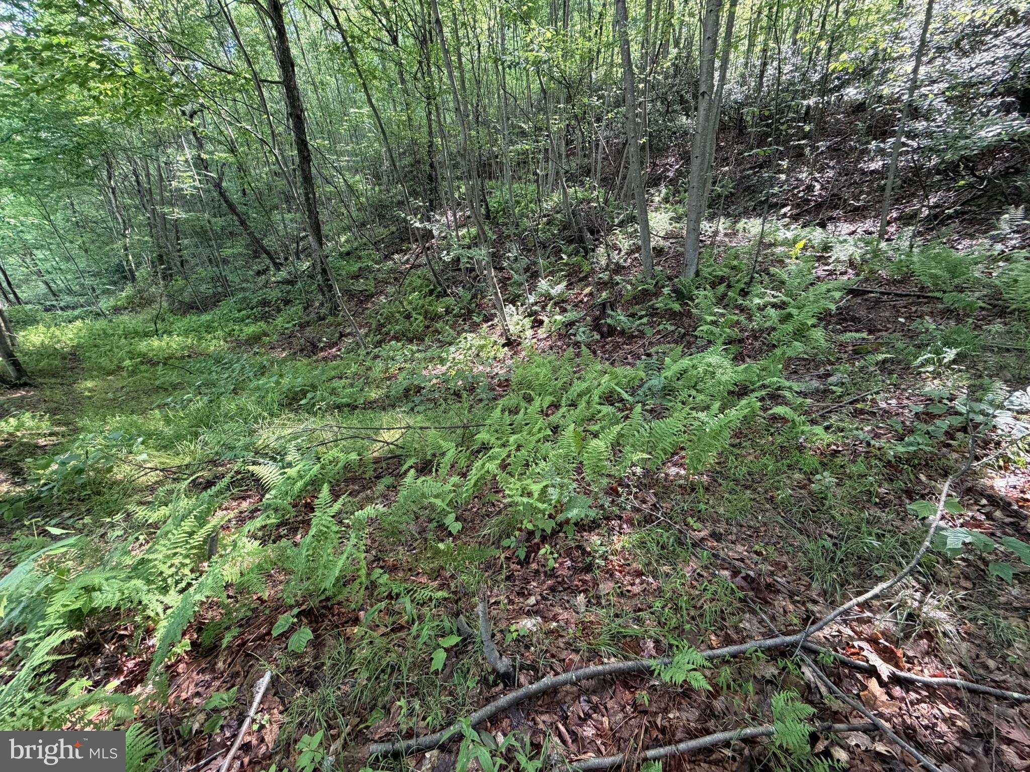 848 Sugar Camp Road Clearfield, PA 16830 - Photo 112 of 118