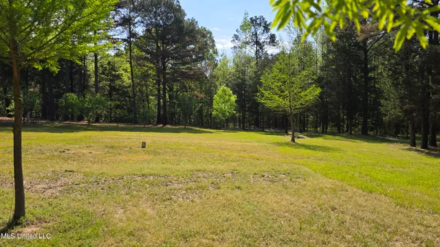 $225,000 | 22386 Highway 32, Oakland, MS 38948