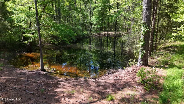 $225,000 | 22386 Highway 32, Oakland, MS 38948