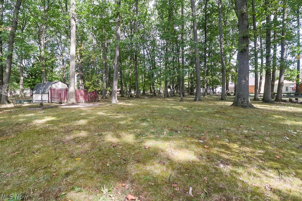 2135 Miami Road Euclid, OH 44117 - Photo 21 of 23 Backyard