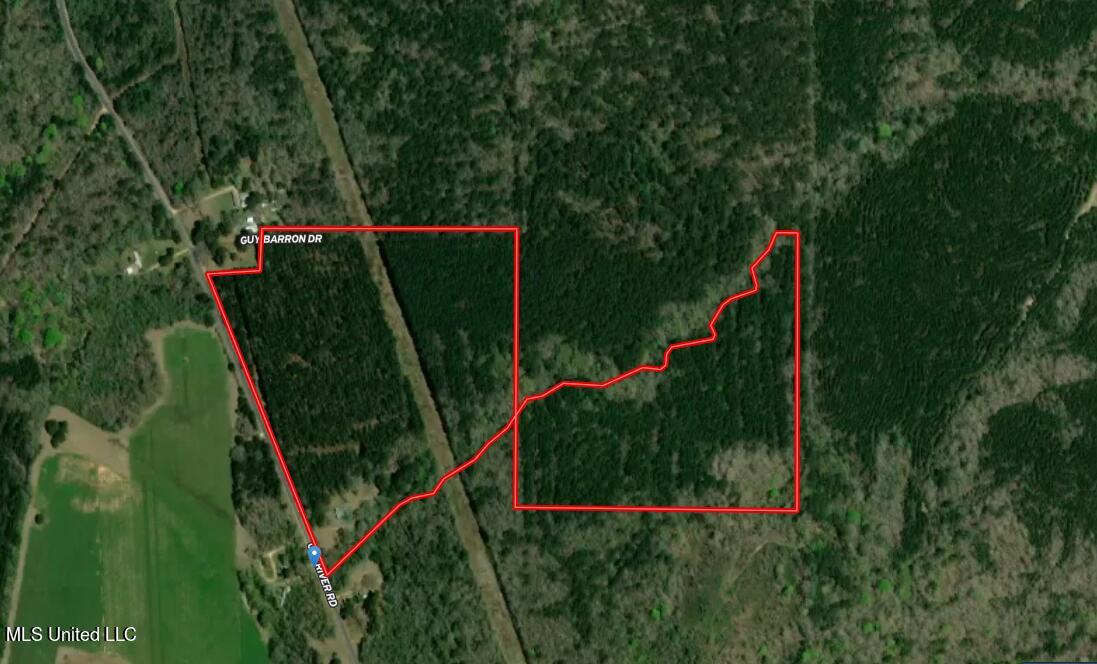 1226 Old River Road Harrisville, MS 39082 - Photo 1 of 37 Aerial Photo