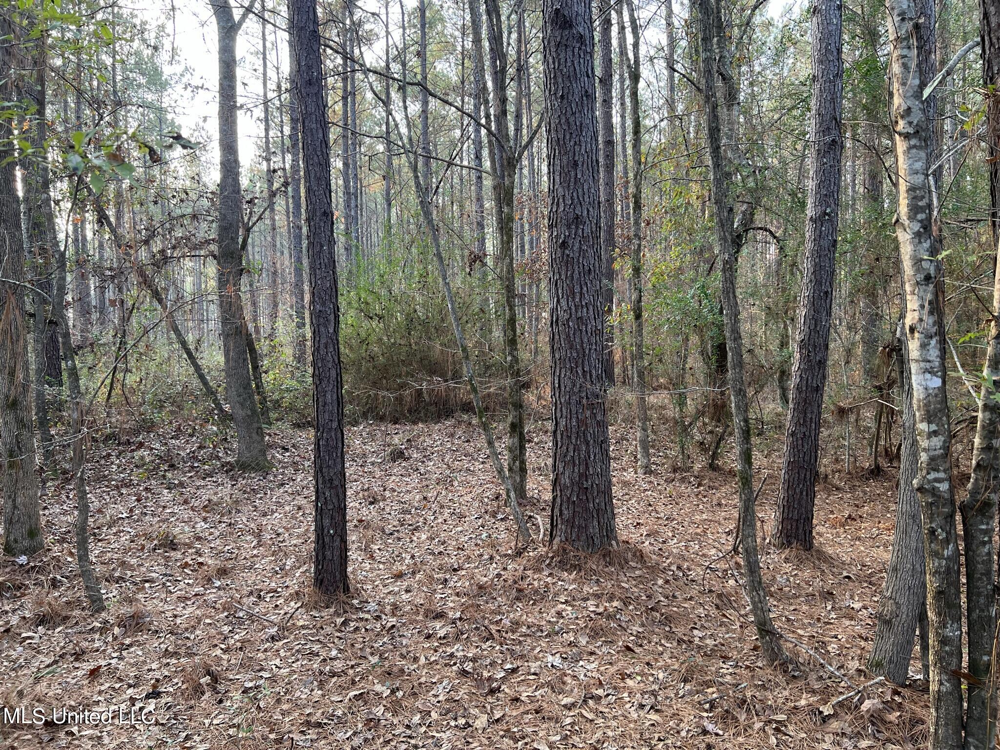 1226 Old River Road Harrisville, MS 39082 - Photo 20 of 37 IMG_2976