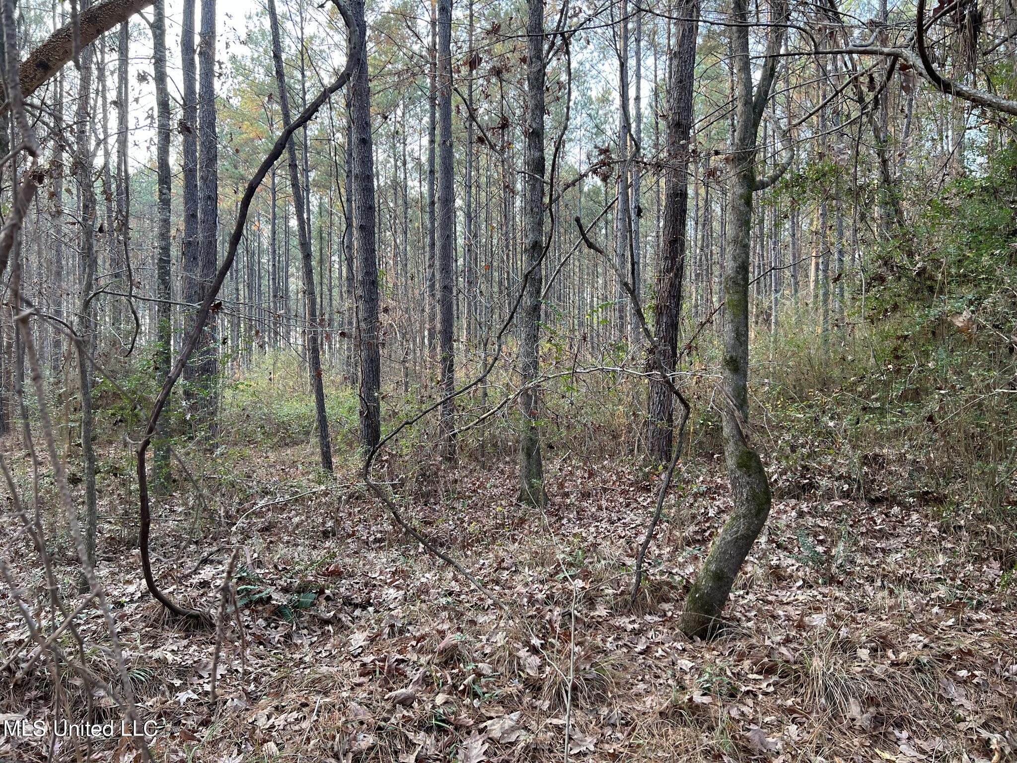 1226 Old River Road Harrisville, MS 39082 - Photo 21 of 37 IMG_2977