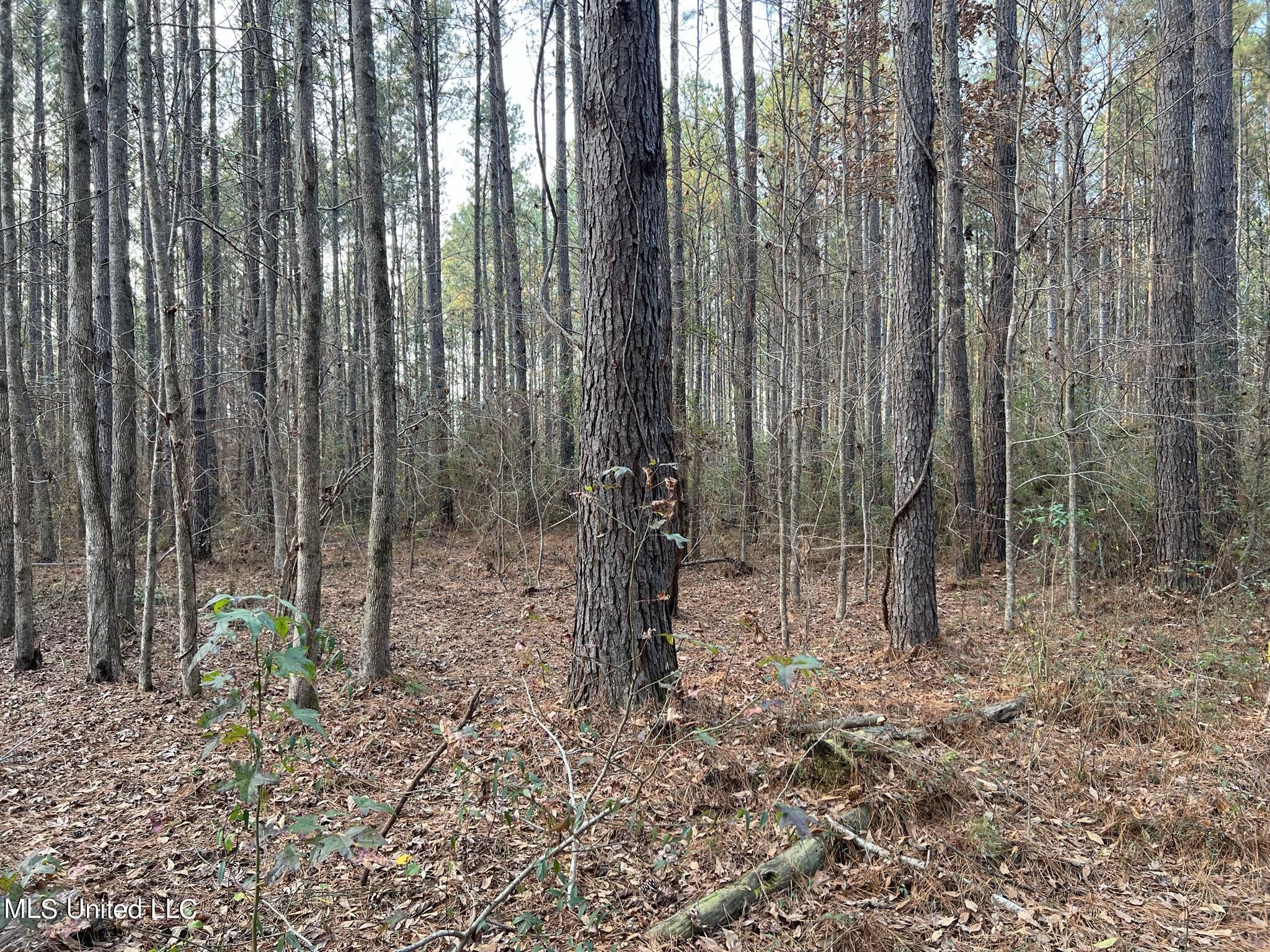 1226 Old River Road Harrisville, MS 39082 - Photo 24 of 37 IMG_2980