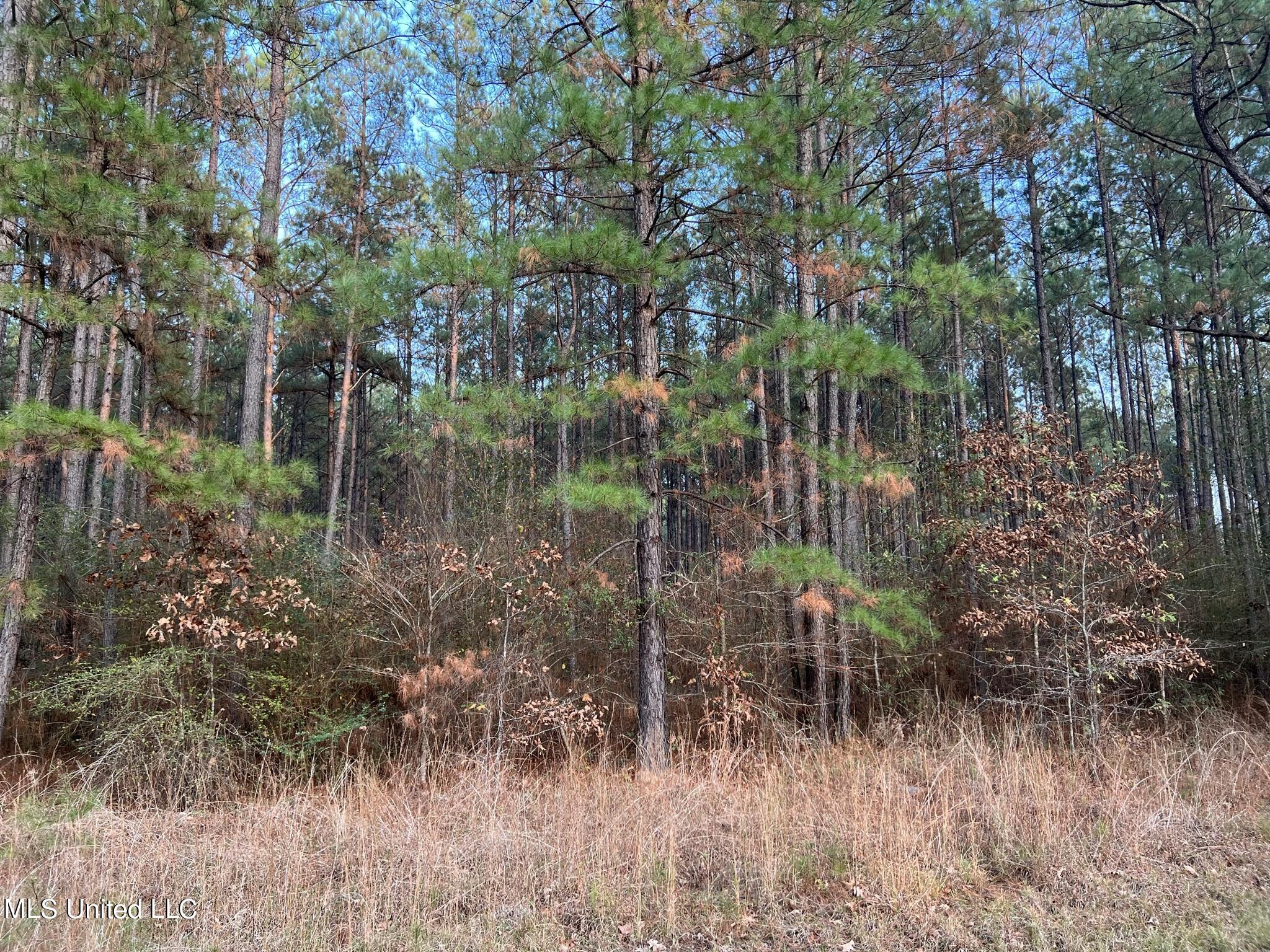 1226 Old River Road Harrisville, MS 39082 - Photo 34 of 37 IMG_2990