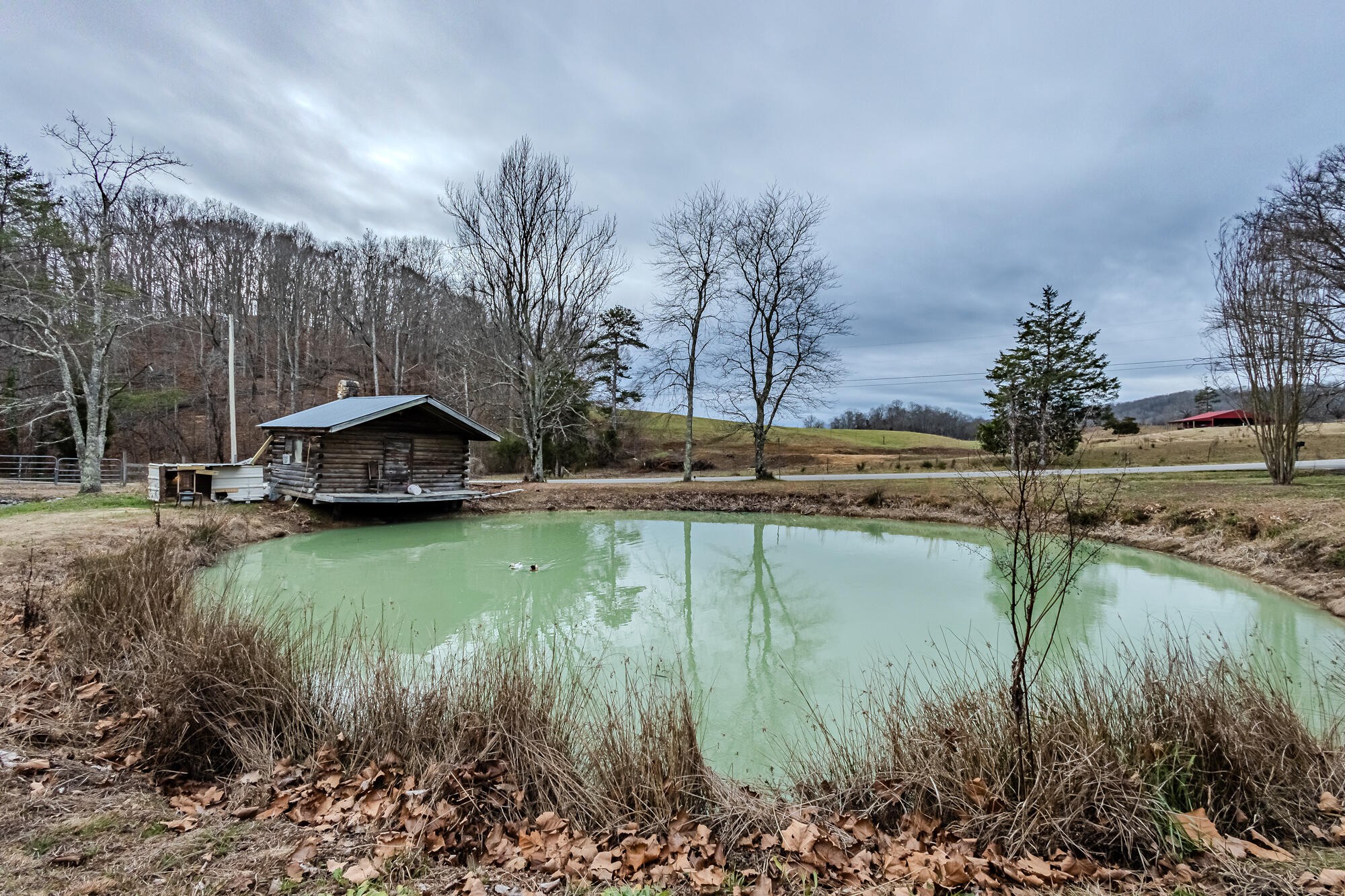 418 County Road 188 Decatur, TN 37322 - Photo 6 of 59 Gallery Image 6