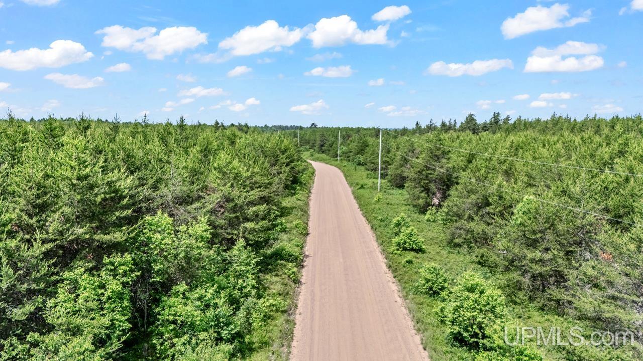 Tbd Bryan Creek Road Ishpeming, MI 49849 - Photo 8 of 16