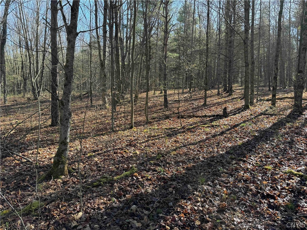 0 Neu Road Arkport, NY 14807 - Photo 1 of 1 Gallery Image 1