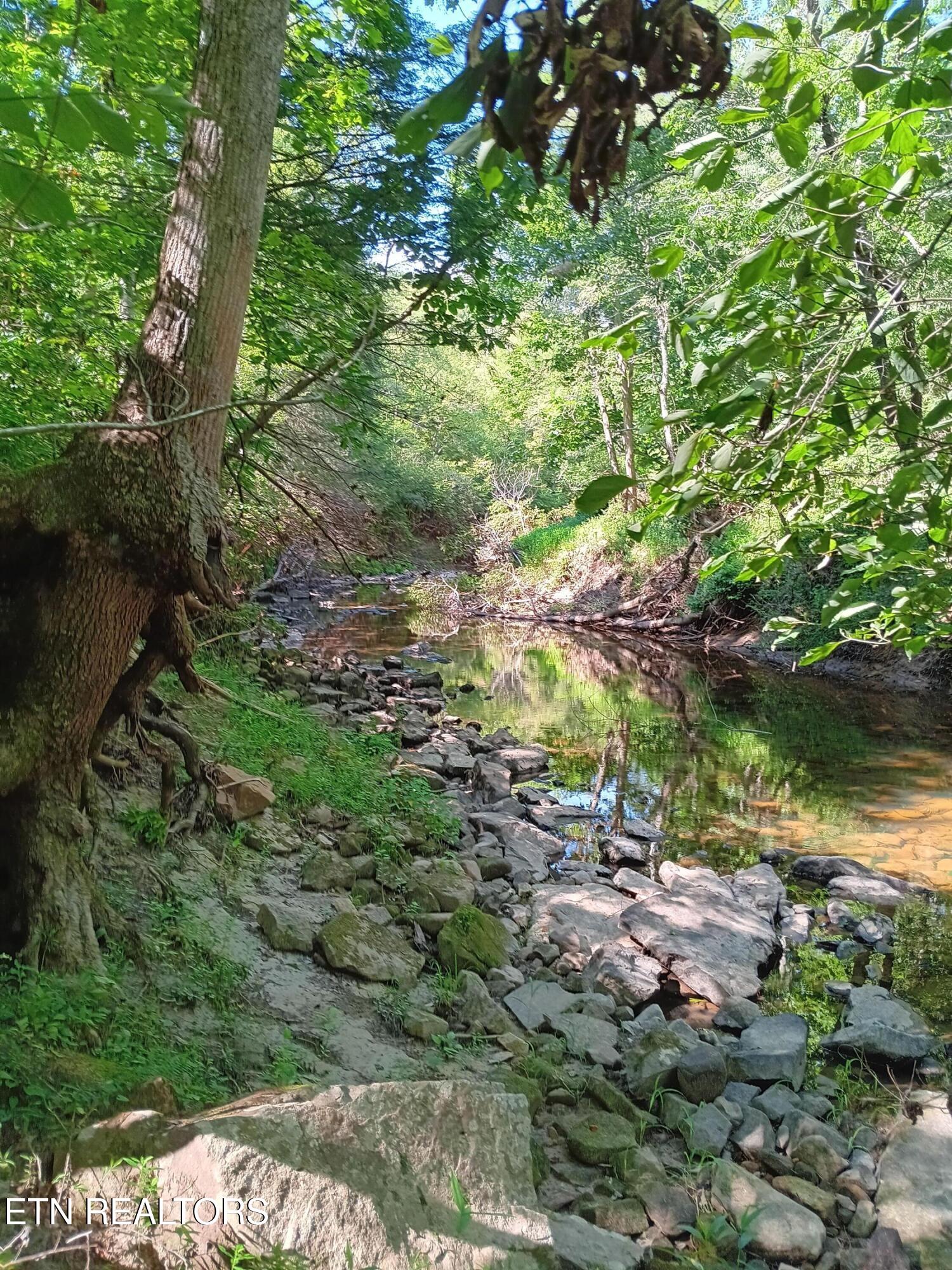 899 Flat Rock Road Crossville, TN 38572 - Photo 39 of 60 39