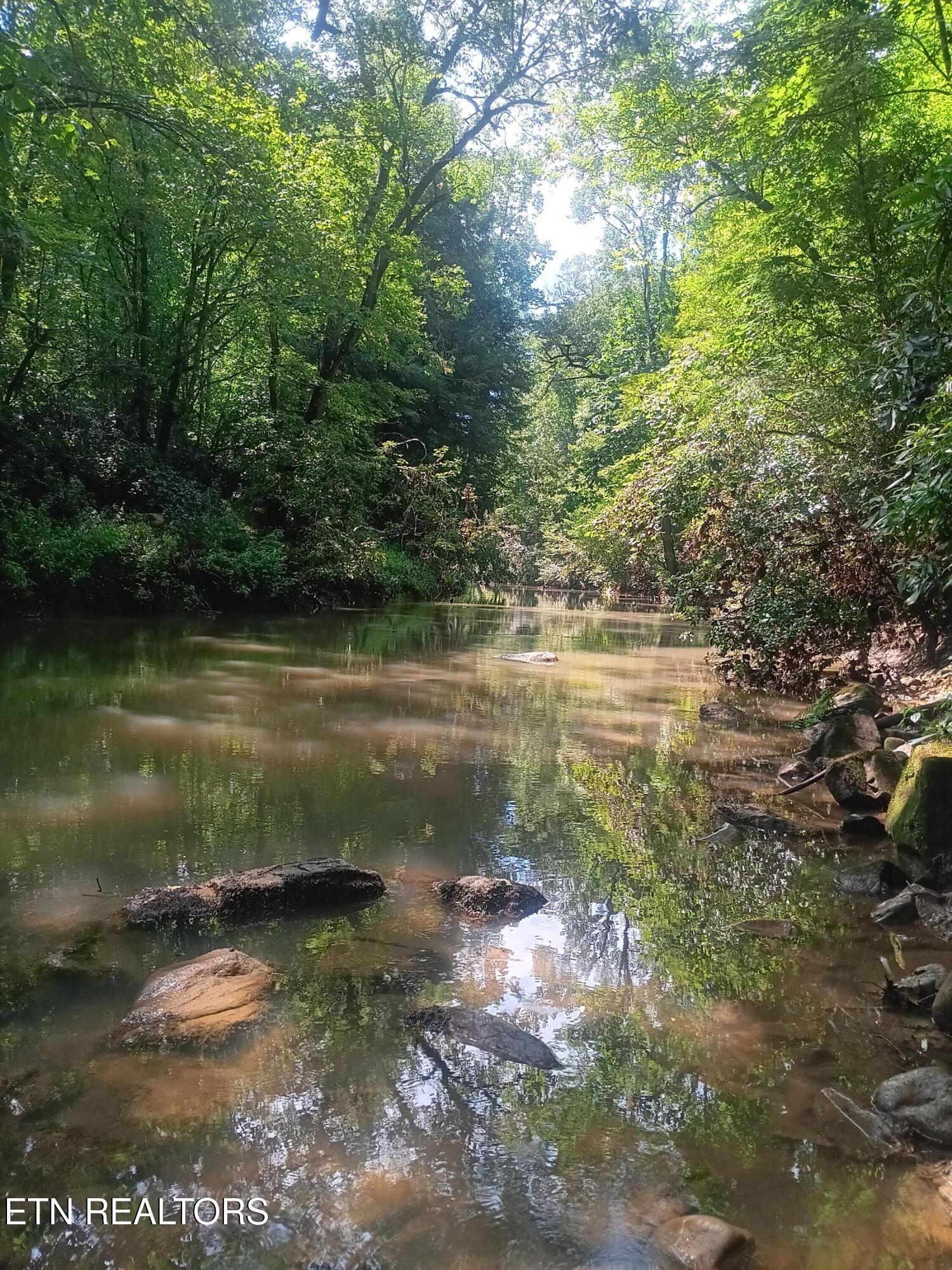 899 Flat Rock Road Crossville, TN 38572 - Photo 4 of 60 4