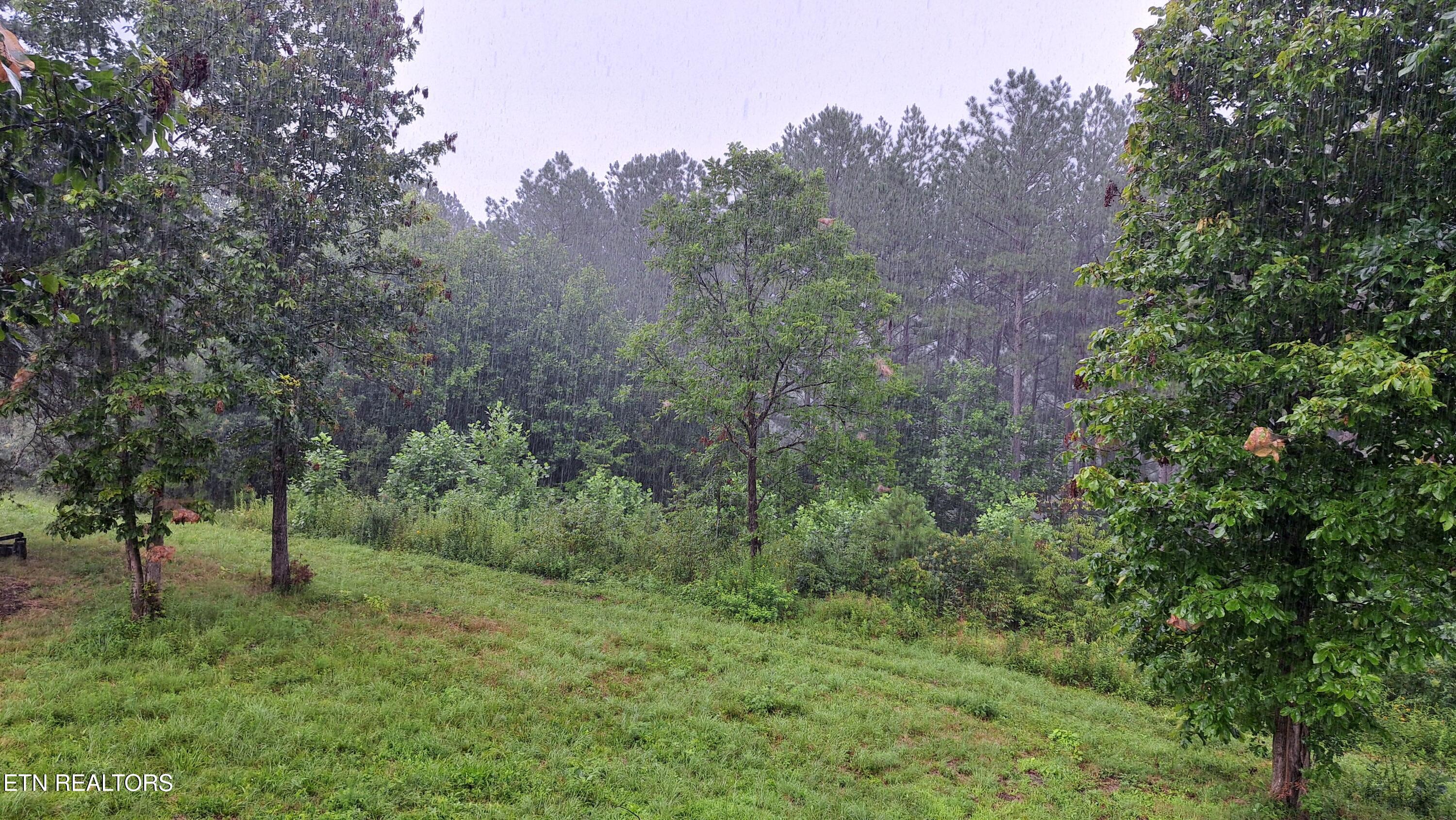 899 Flat Rock Road Crossville, TN 38572 - Photo 42 of 60 42