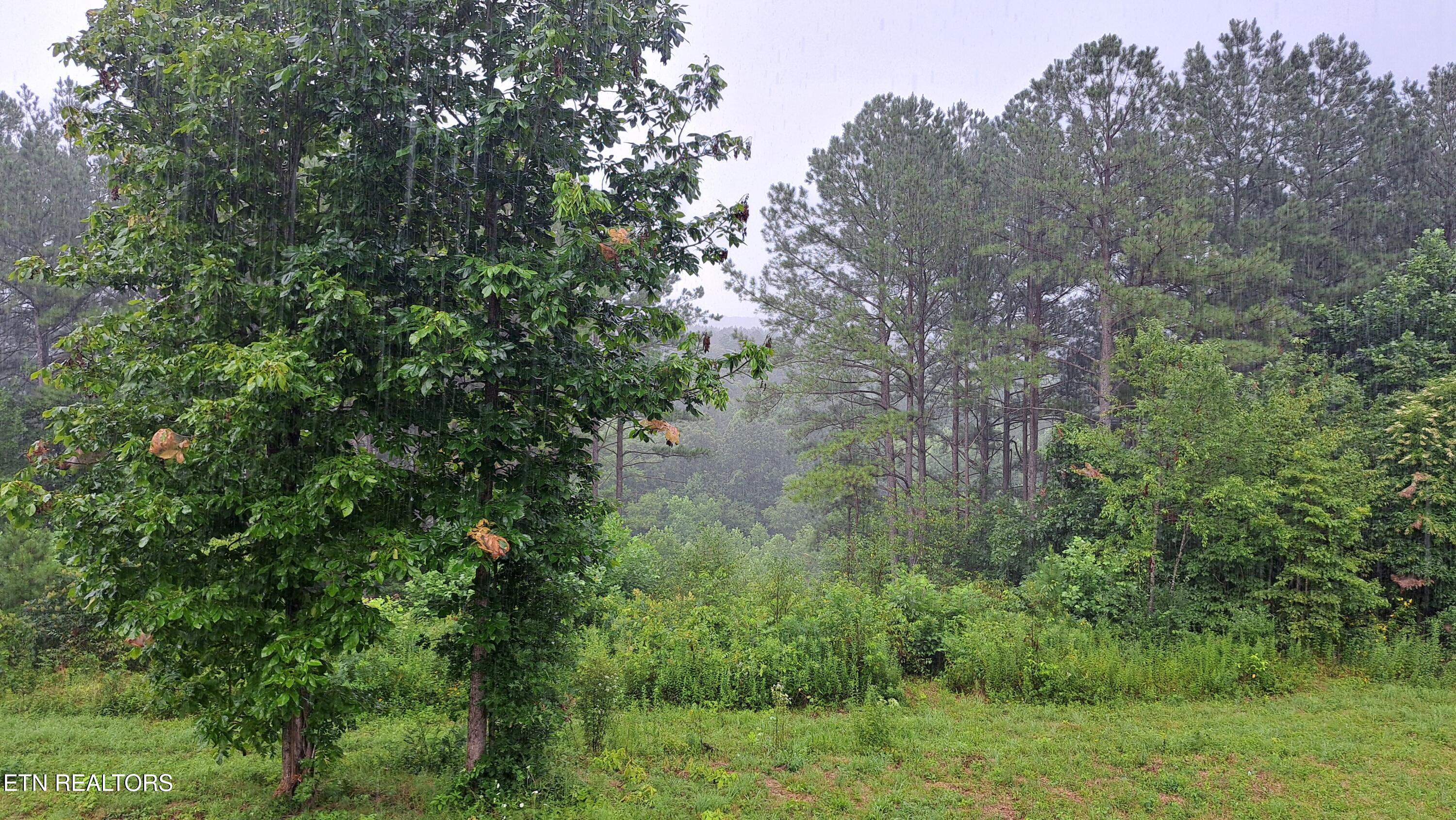 899 Flat Rock Road Crossville, TN 38572 - Photo 44 of 60 44