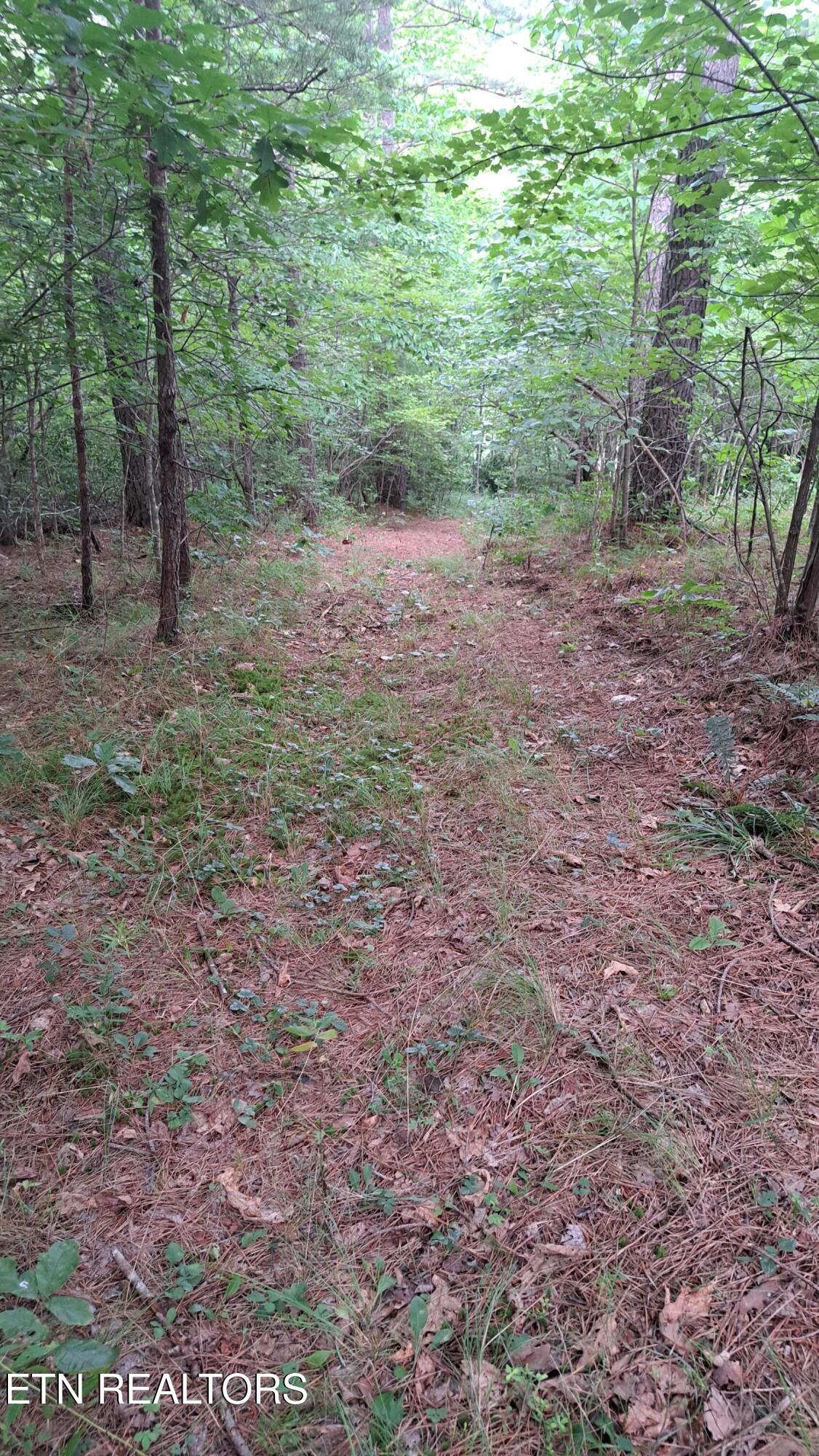 899 Flat Rock Road Crossville, TN 38572 - Photo 45 of 60 45