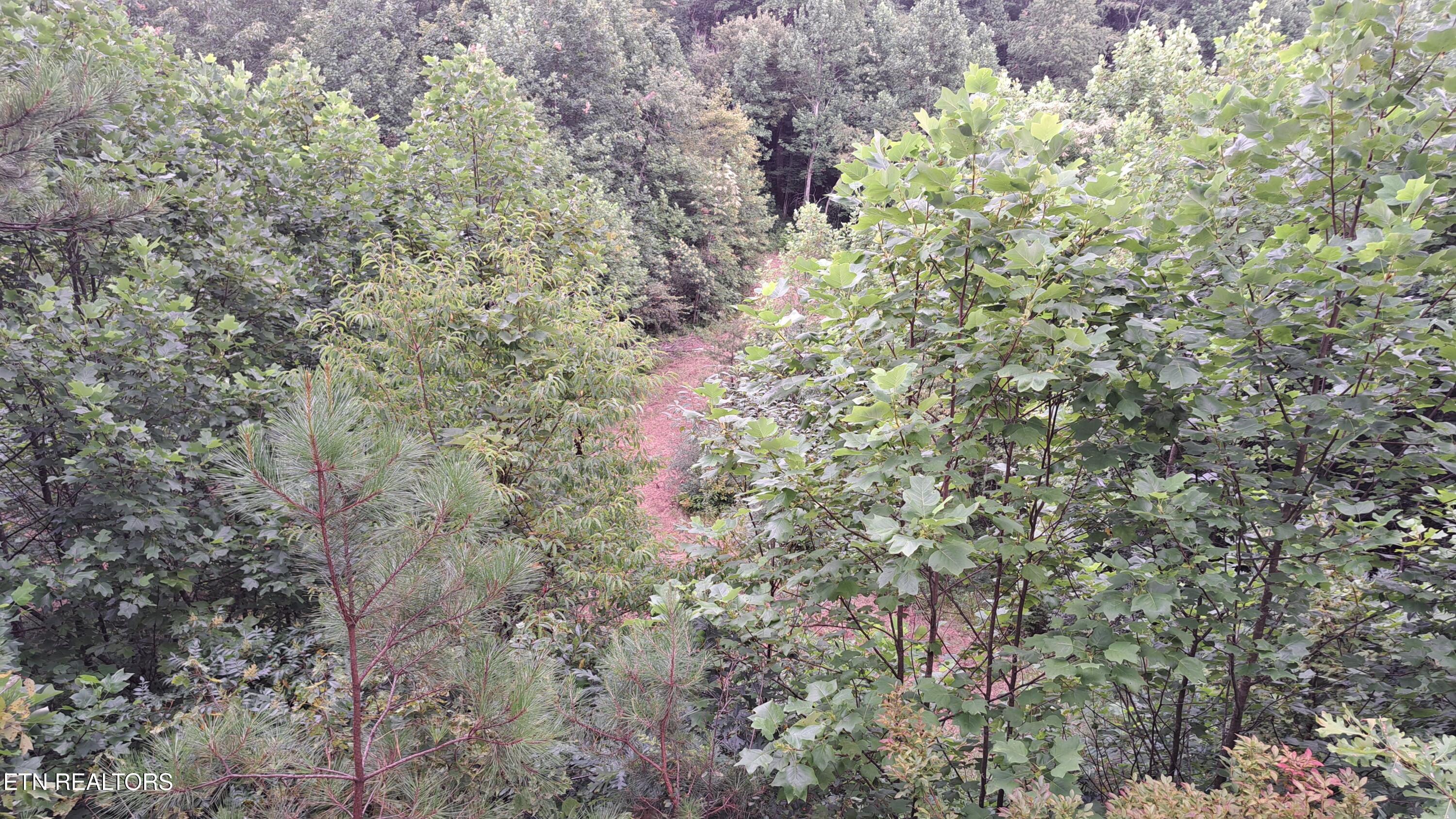 899 Flat Rock Road Crossville, TN 38572 - Photo 46 of 60 46