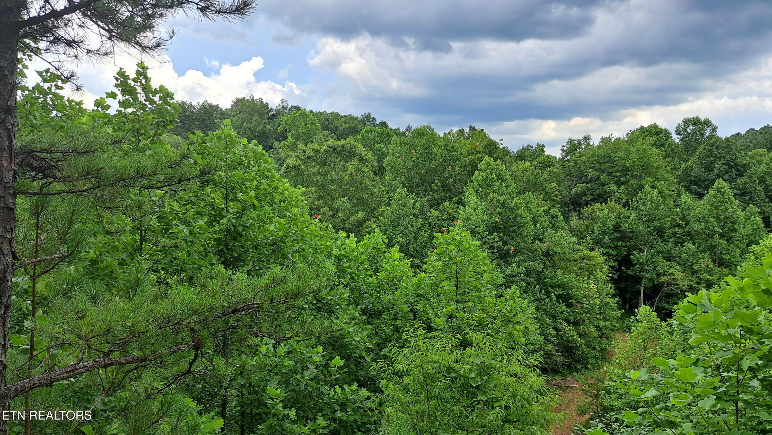 899 Flat Rock Road Crossville, TN 38572 - Photo 47 of 60 47