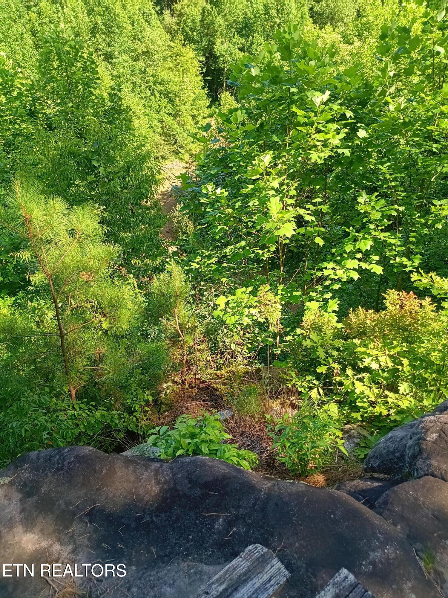 899 Flat Rock Road Crossville, TN 38572 - Photo 48 of 60 48