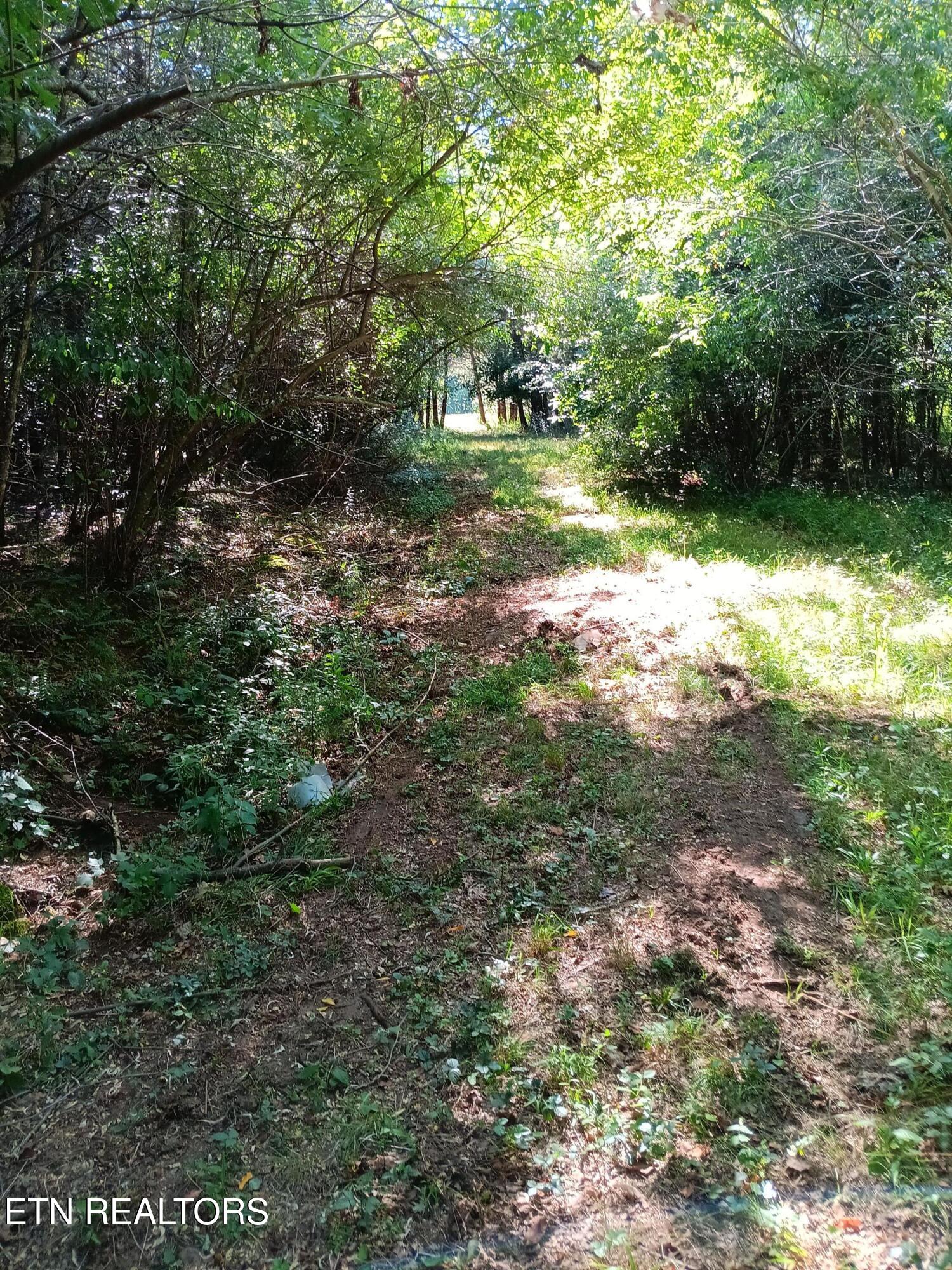 899 Flat Rock Road Crossville, TN 38572 - Photo 49 of 60 49