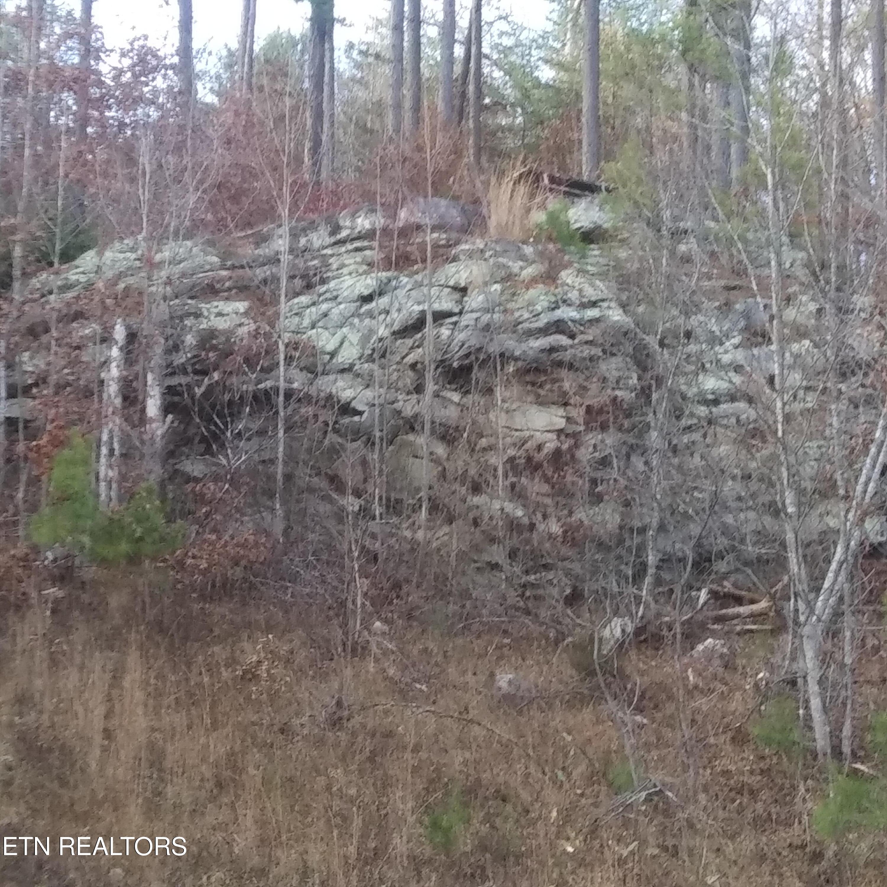 899 Flat Rock Road Crossville, TN 38572 - Photo 50 of 60 50