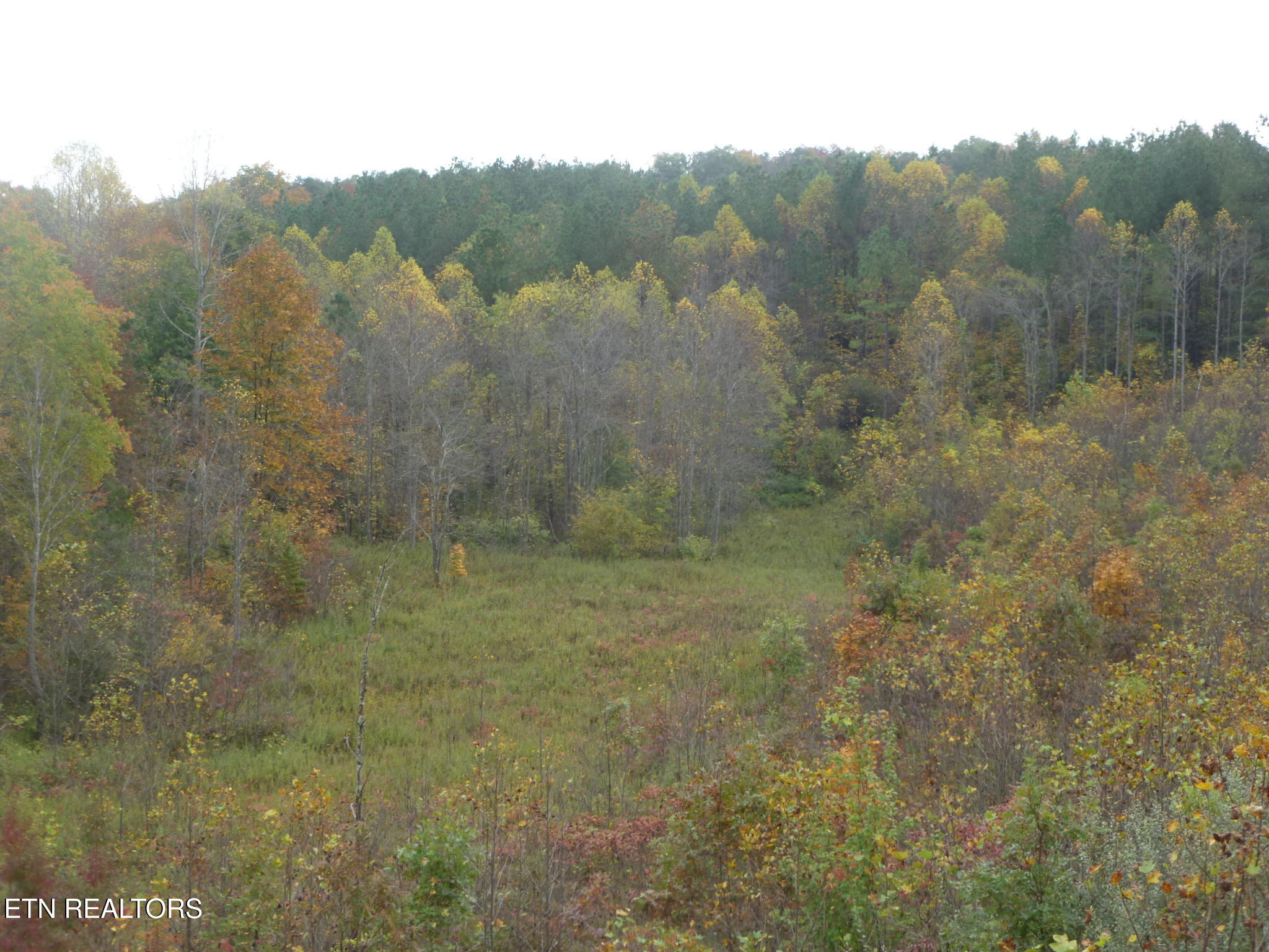 899 Flat Rock Road Crossville, TN 38572 - Photo 51 of 60 51
