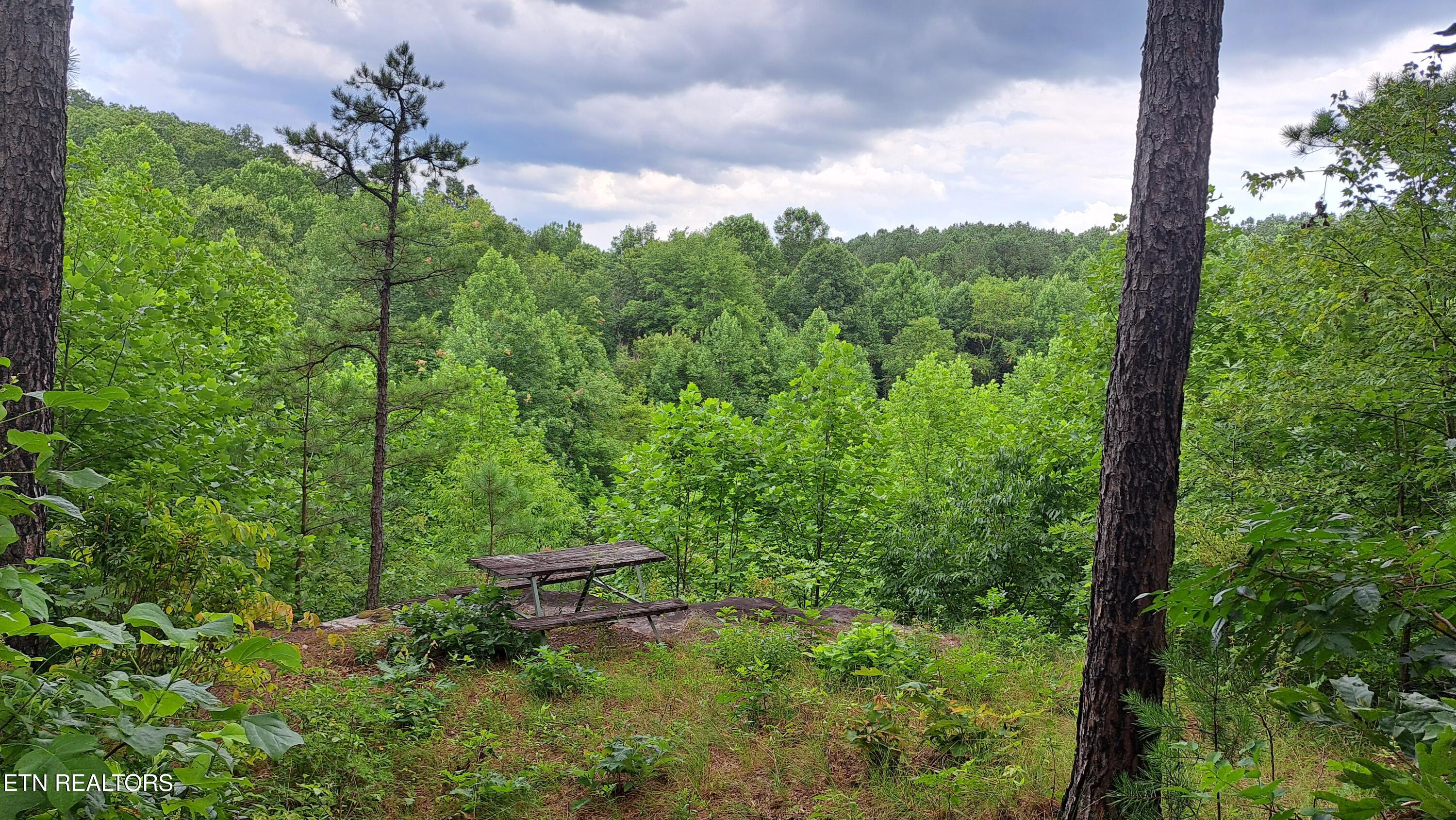 899 Flat Rock Road Crossville, TN 38572 - Photo 6 of 60 6