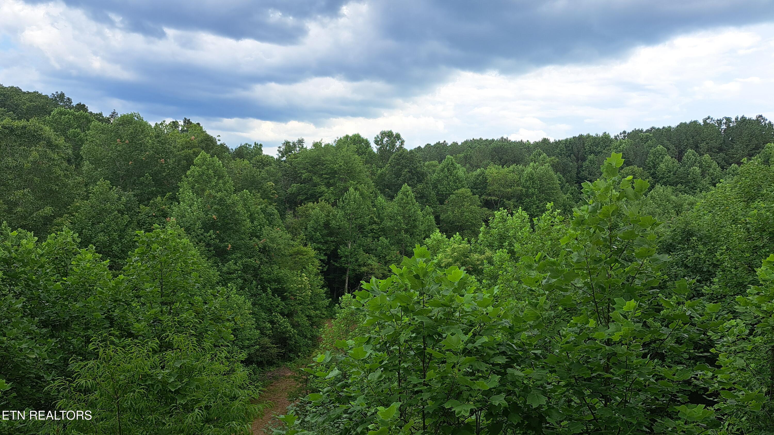 899 Flat Rock Road Crossville, TN 38572 - Photo 7 of 60 7