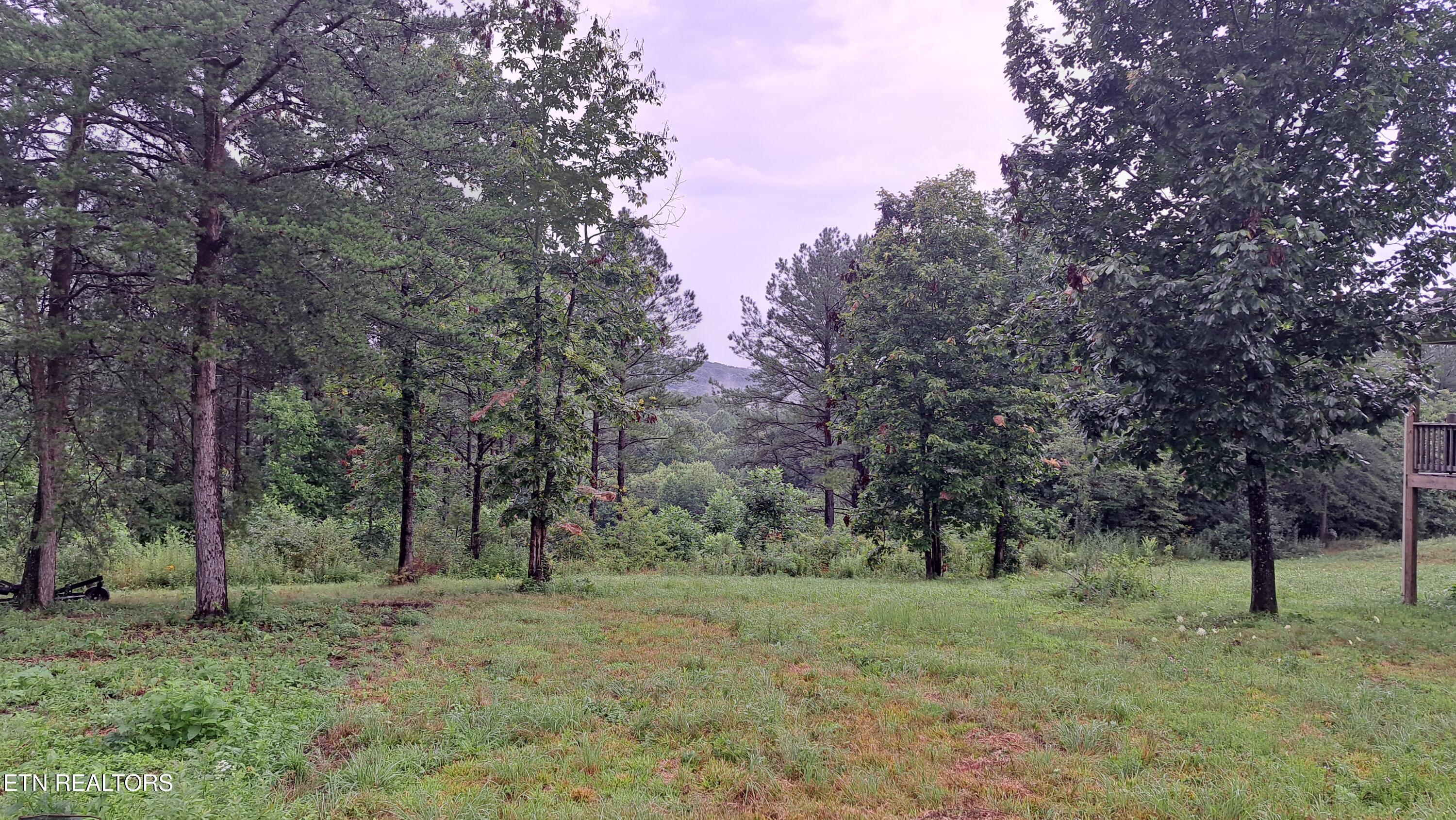 899 Flat Rock Road Crossville, TN 38572 - Photo 10 of 60 10