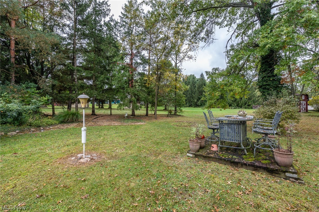 14179 Drake Road Strongsville, OH 44136 - Photo 24 of 33 View of yard