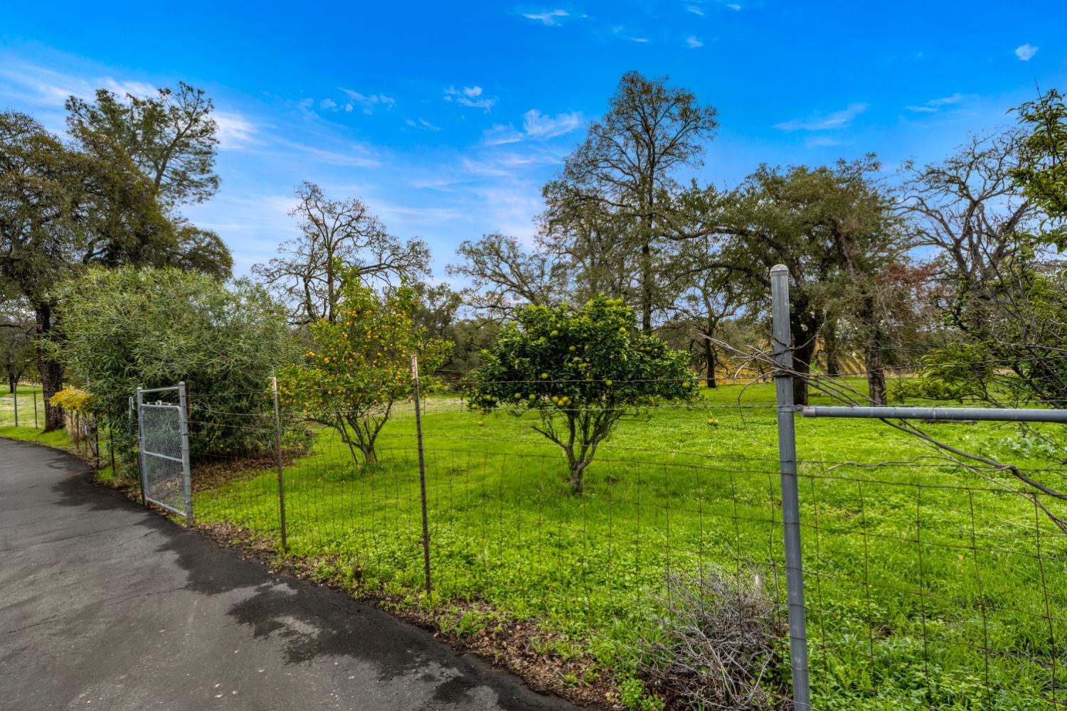 6170 South Shingle Road Shingle Springs, CA 95682 - Photo 20 of 85