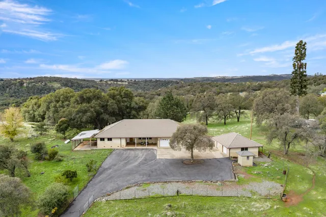 a view of a garden with a tree