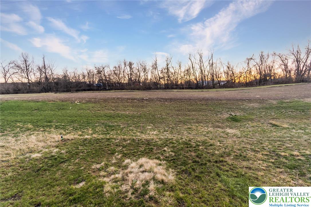 164 Maureen Lane Allentown, PA 18104 - Photo 28 of 28 a view of large yard with large trees