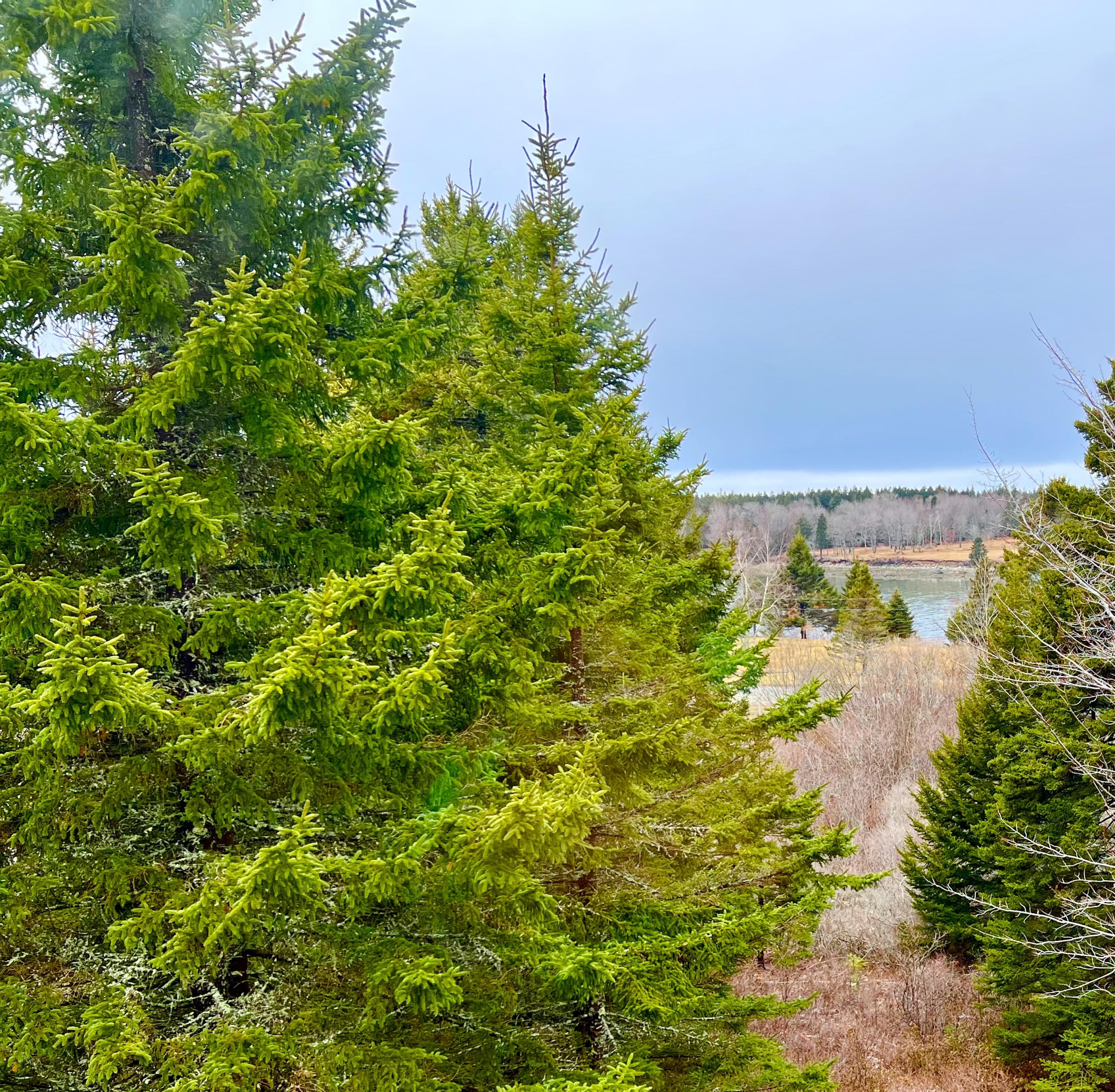 177 Richtown Road Bernard, ME 04612 - Photo 51 of 59 View To Duck Cove