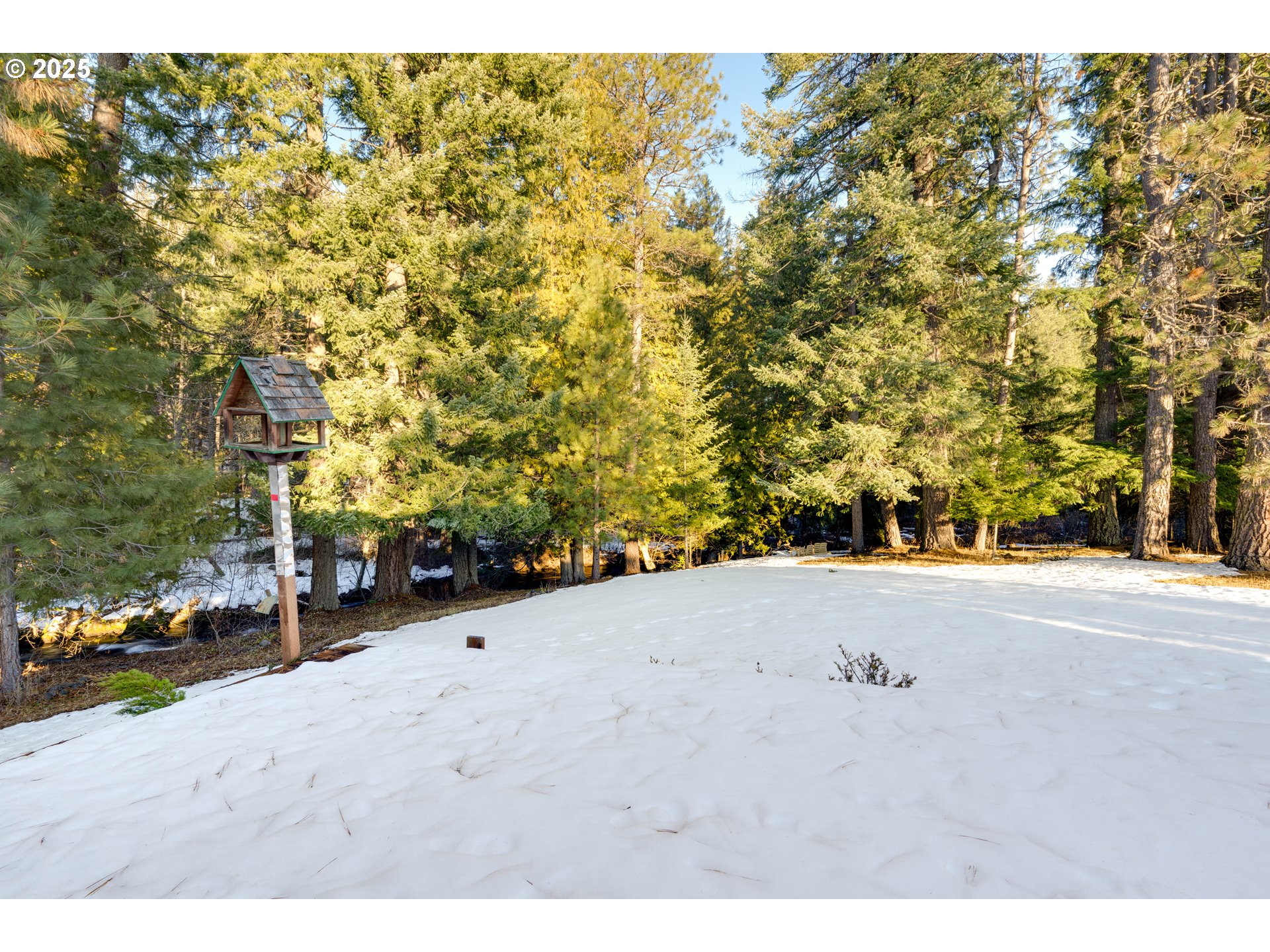 96 Mt Adams Road Trout Lake, WA 98650 - Photo 8 of 46 Gallery Image 8