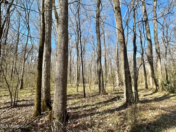 $385,000 | 2 Champion Hill Road, Bolton, MS 39041