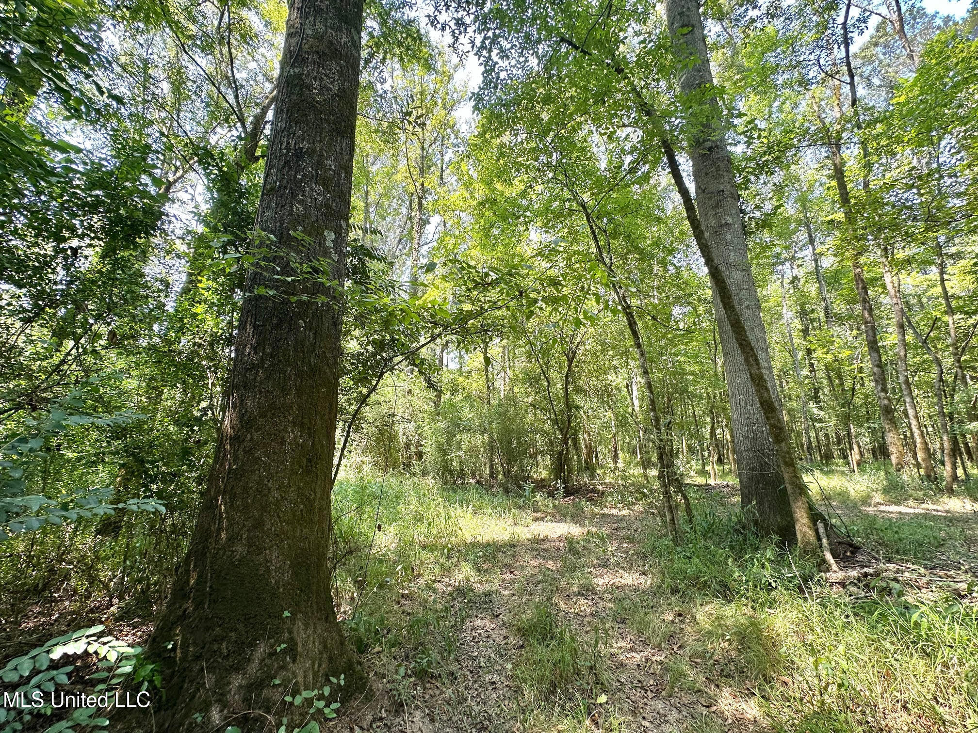 2 Champion Hill Road Bolton, MS 39041 - Photo 14 of 52 41