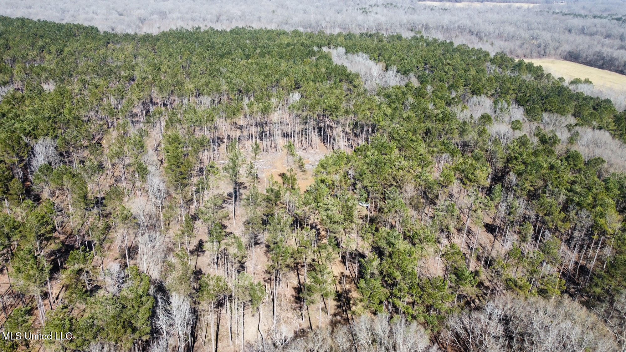 2 Champion Hill Road Bolton, MS 39041 - Photo 15 of 33 247
