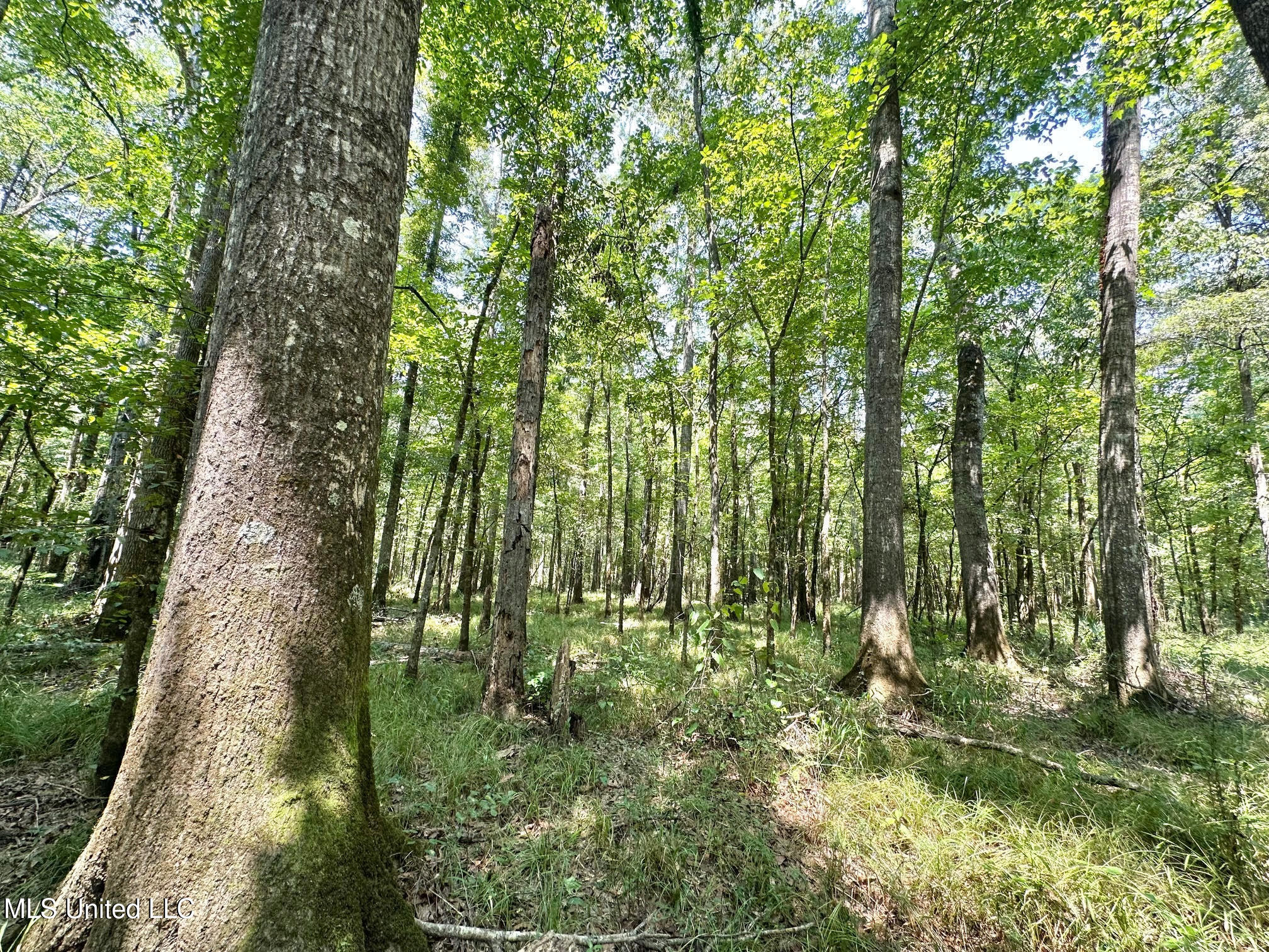 2 Champion Hill Road Bolton, MS 39041 - Photo 15 of 52 42