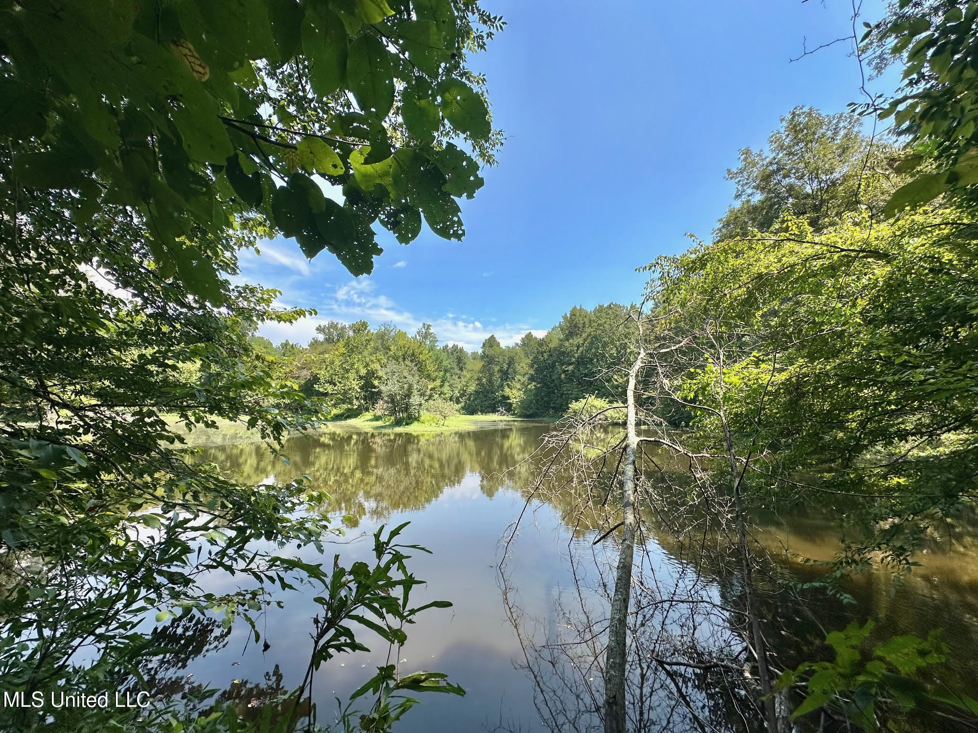 2 Champion Hill Road Bolton, MS 39041 - Photo 16 of 52 43