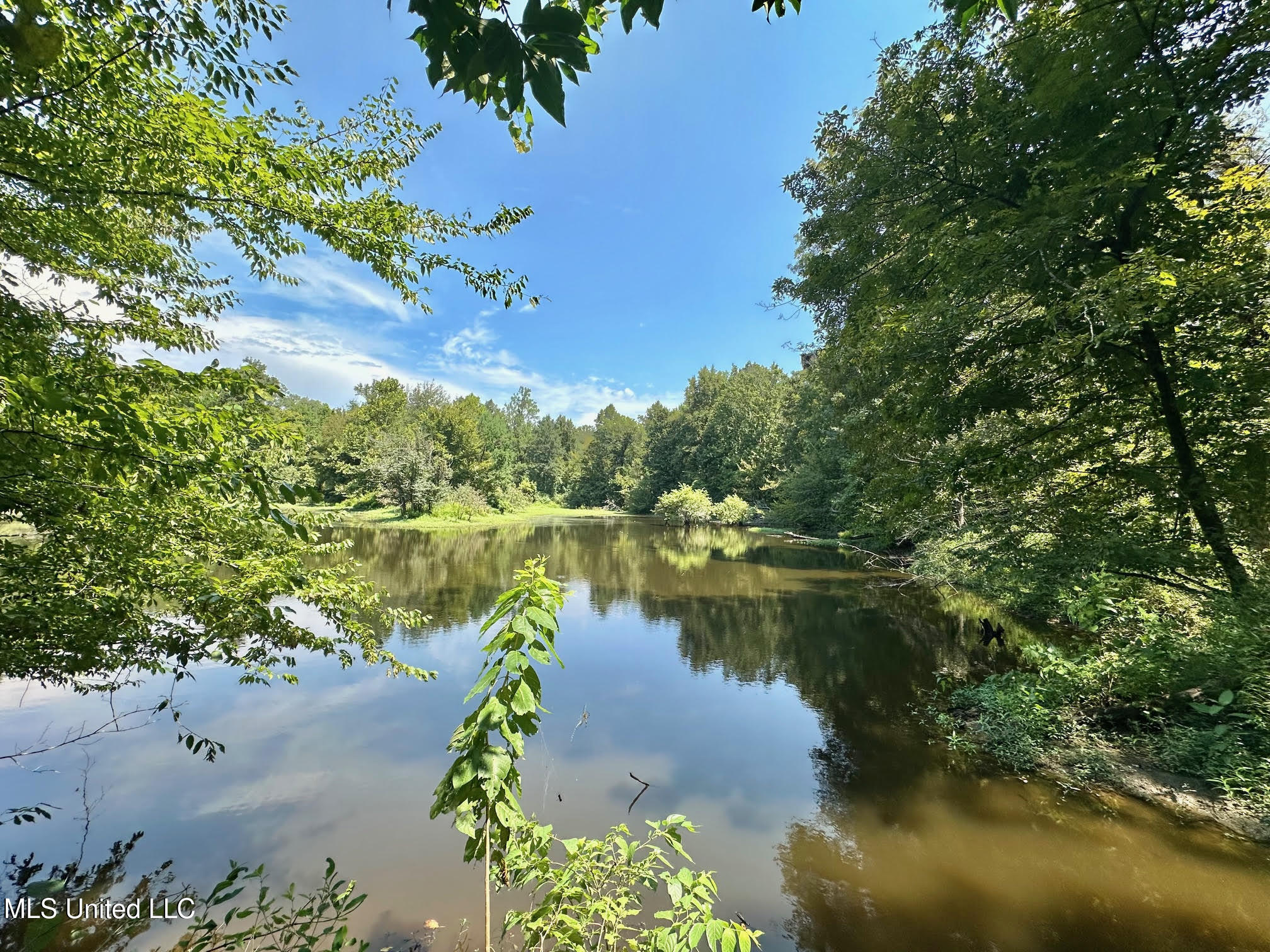 2 Champion Hill Road Bolton, MS 39041 - Photo 17 of 52 44