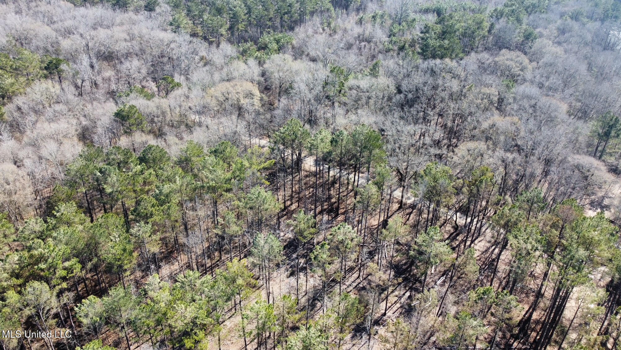 2 Champion Hill Road Bolton, MS 39041 - Photo 19 of 33 251
