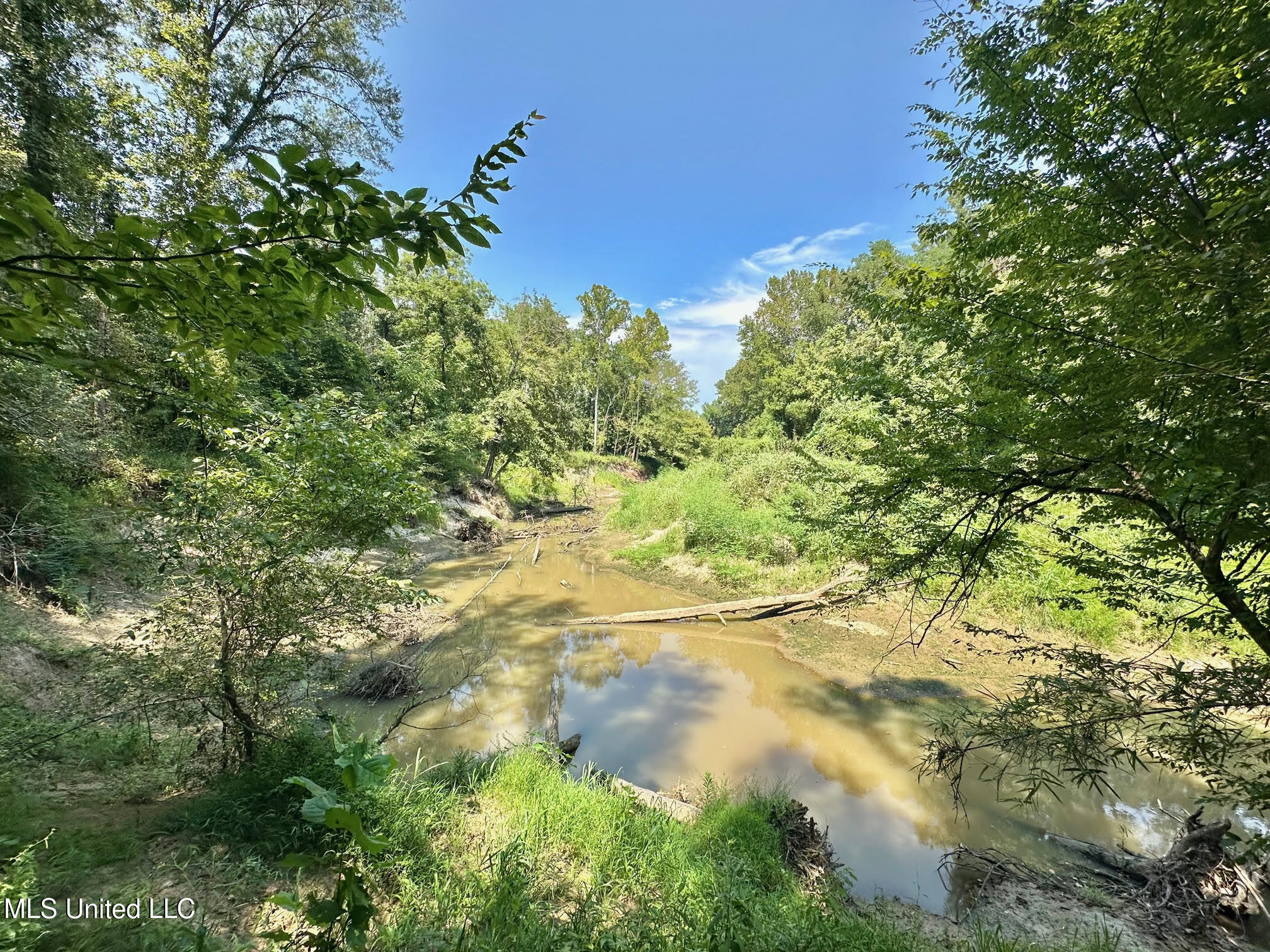 2 Champion Hill Road Bolton, MS 39041 - Photo 19 of 52 47