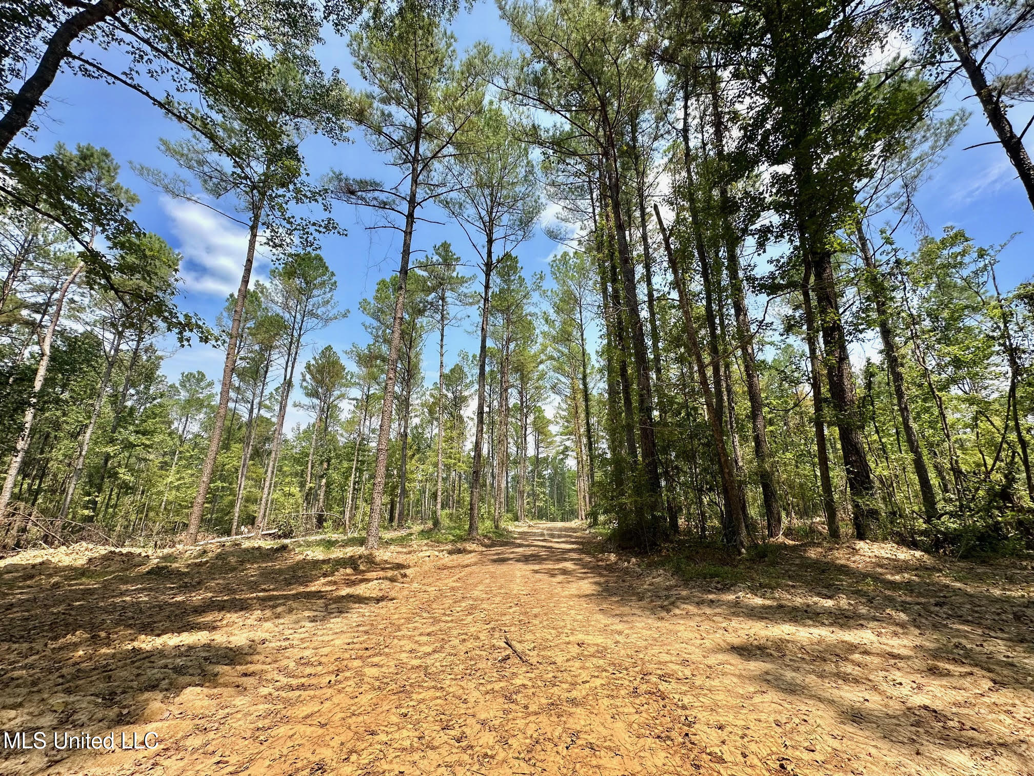 2 Champion Hill Road Bolton, MS 39041 - Photo 2 of 52 29