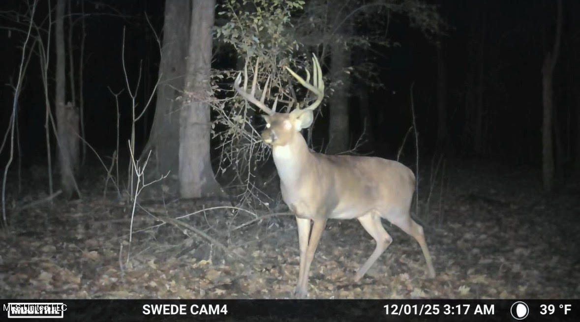 2 Champion Hill Road Bolton, MS 39041 - Photo 21 of 33 254