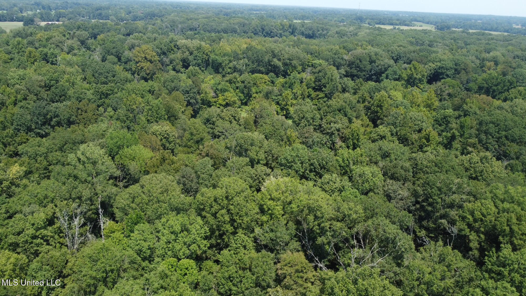 2 Champion Hill Road Bolton, MS 39041 - Photo 22 of 52 50